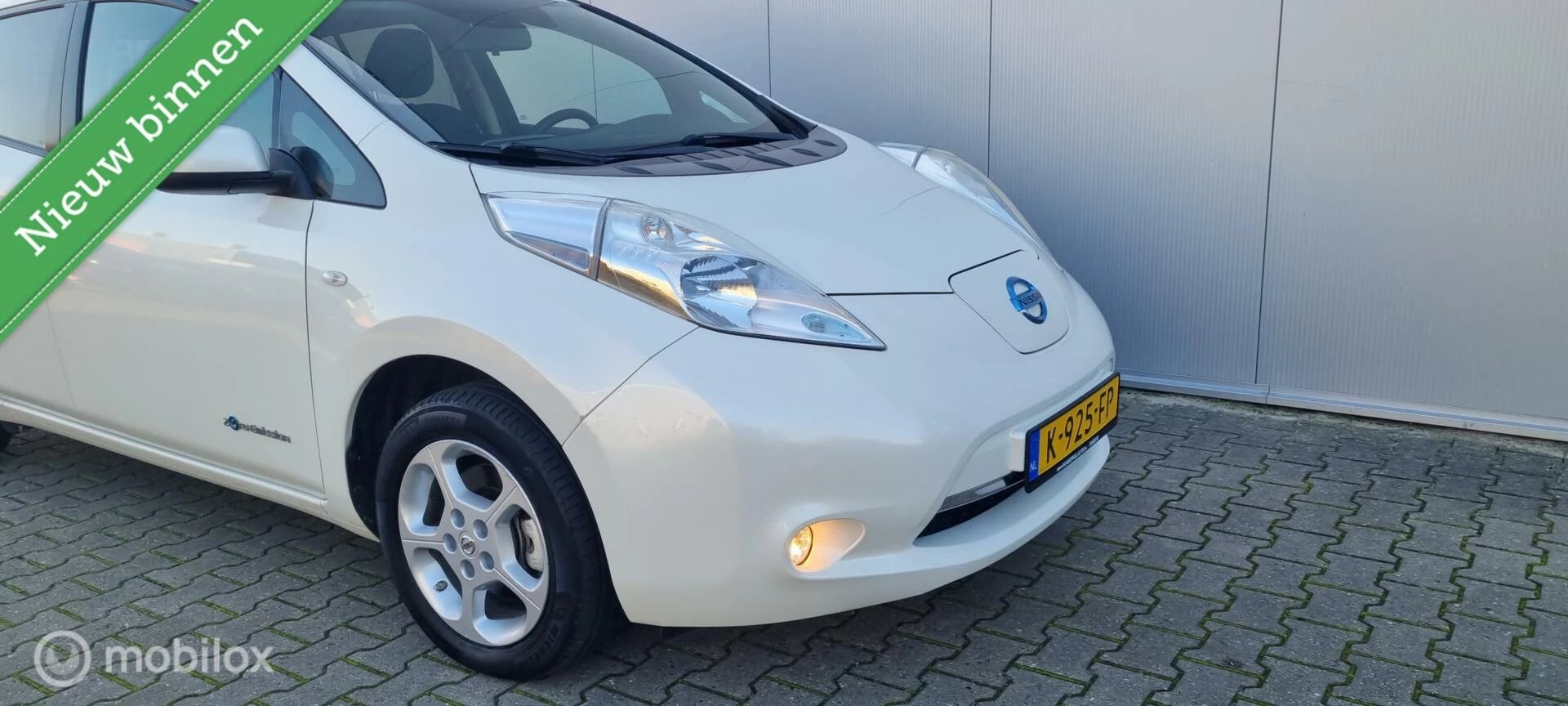 Hoofdafbeelding Nissan Leaf