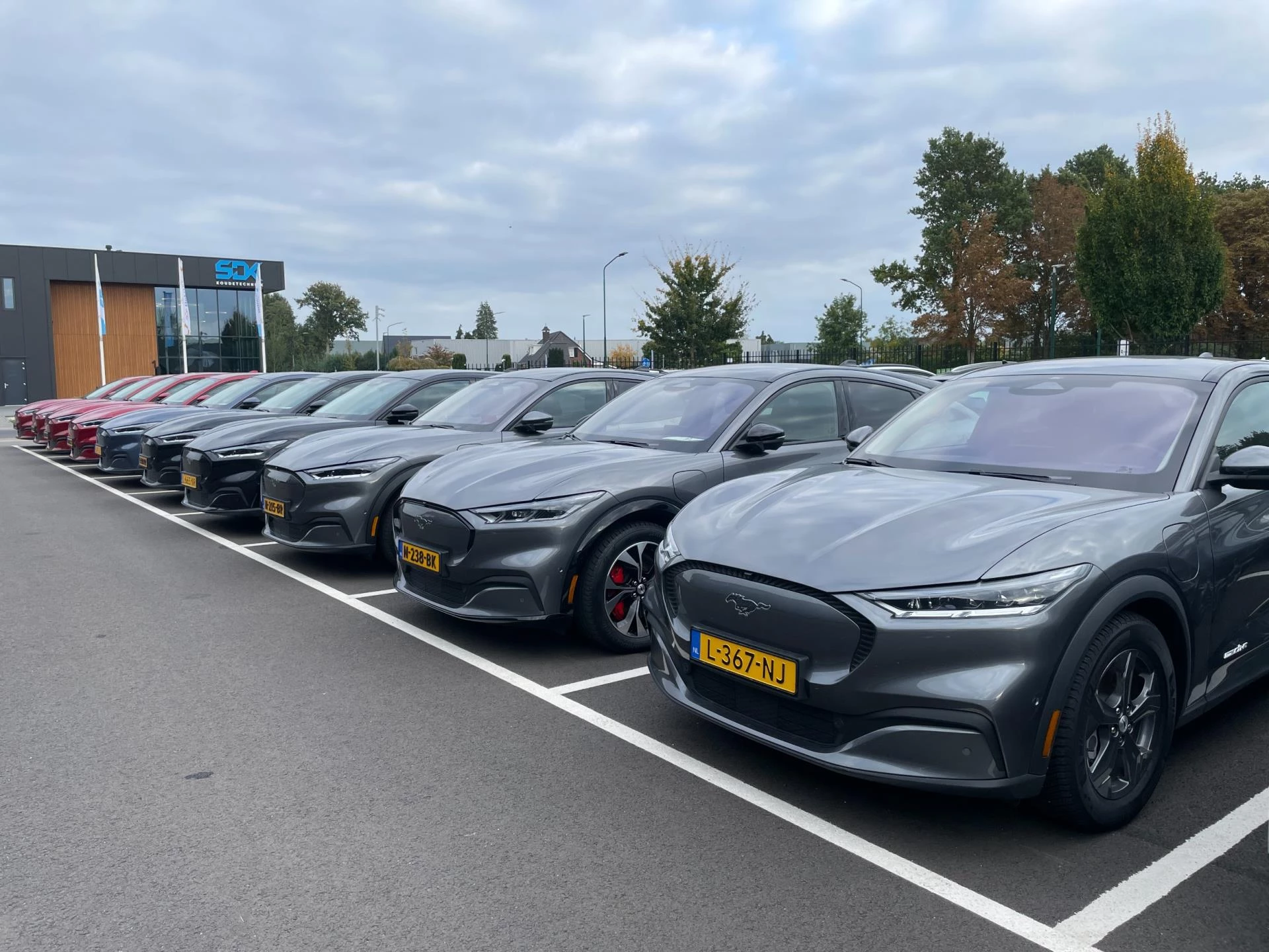 Hoofdafbeelding Ford Mustang Mach-E