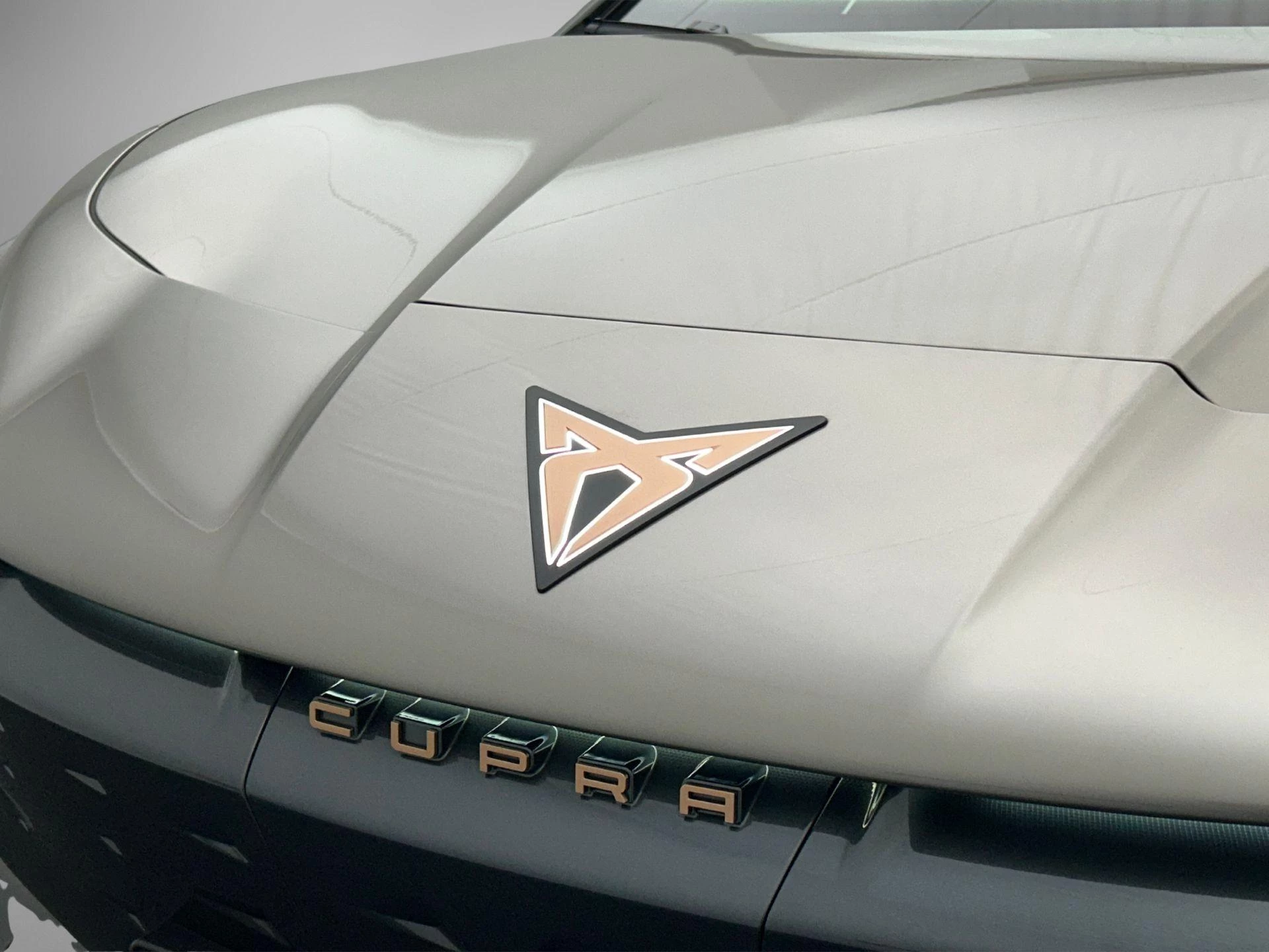 Hoofdafbeelding CUPRA Tavascan