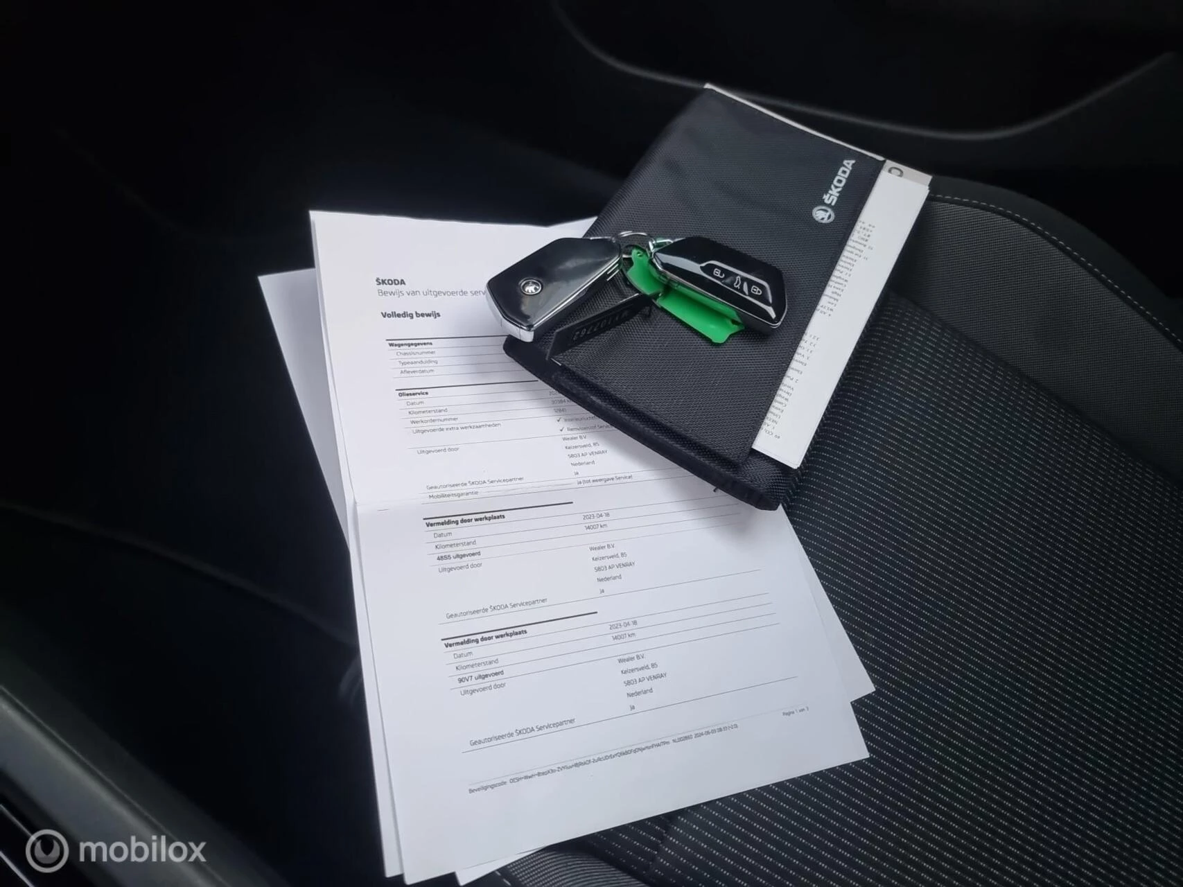 Hoofdafbeelding Škoda Octavia