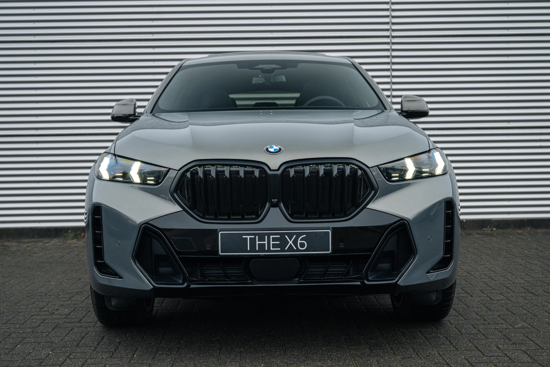 Hoofdafbeelding BMW X6
