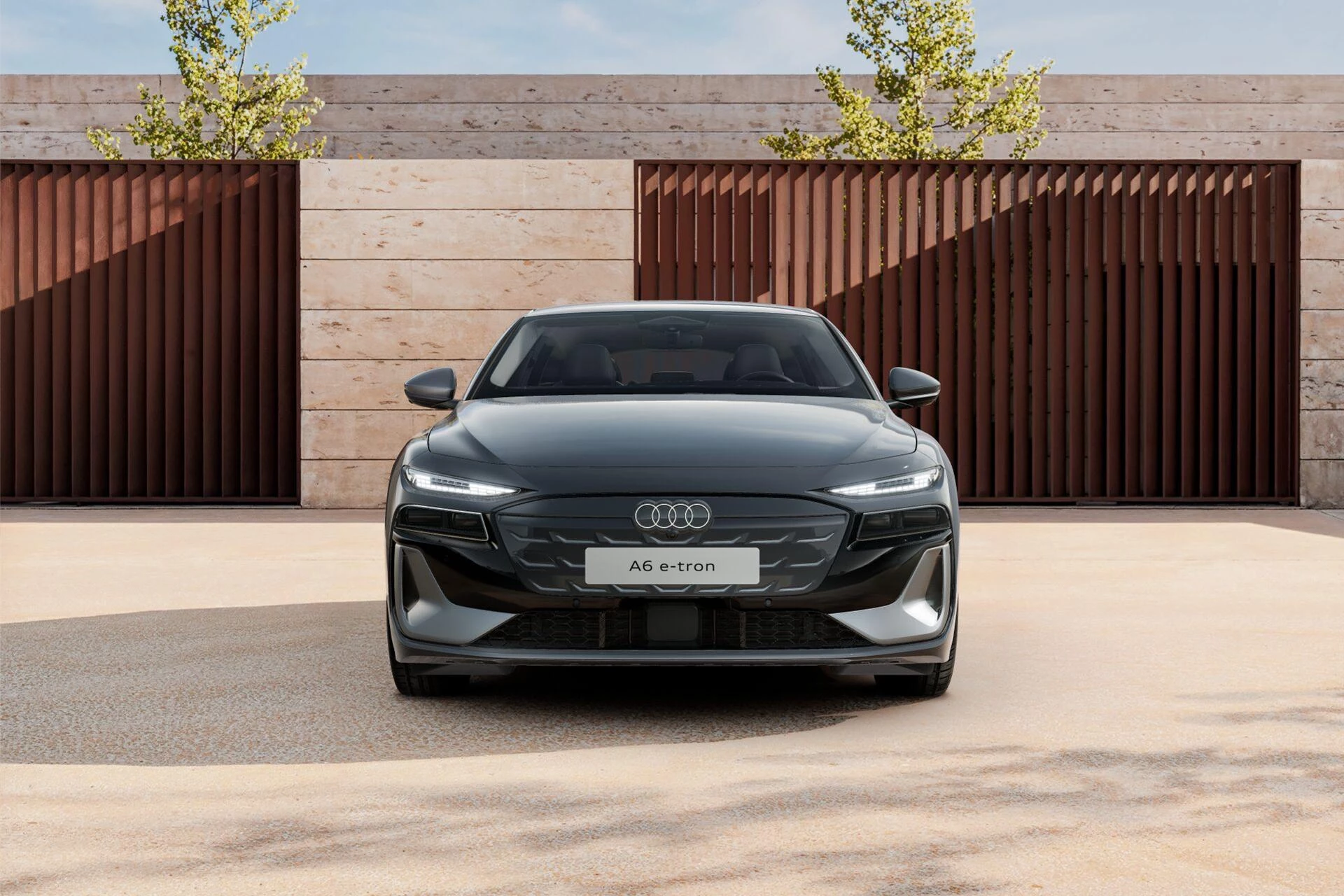 Hoofdafbeelding Audi A6 Avant e-tron