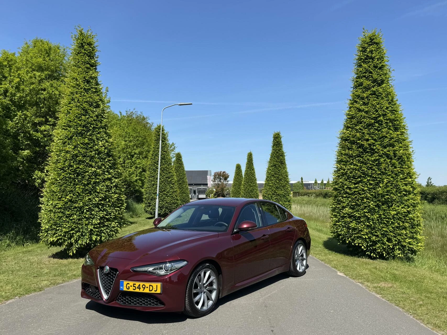 Hoofdafbeelding Alfa Romeo Giulia
