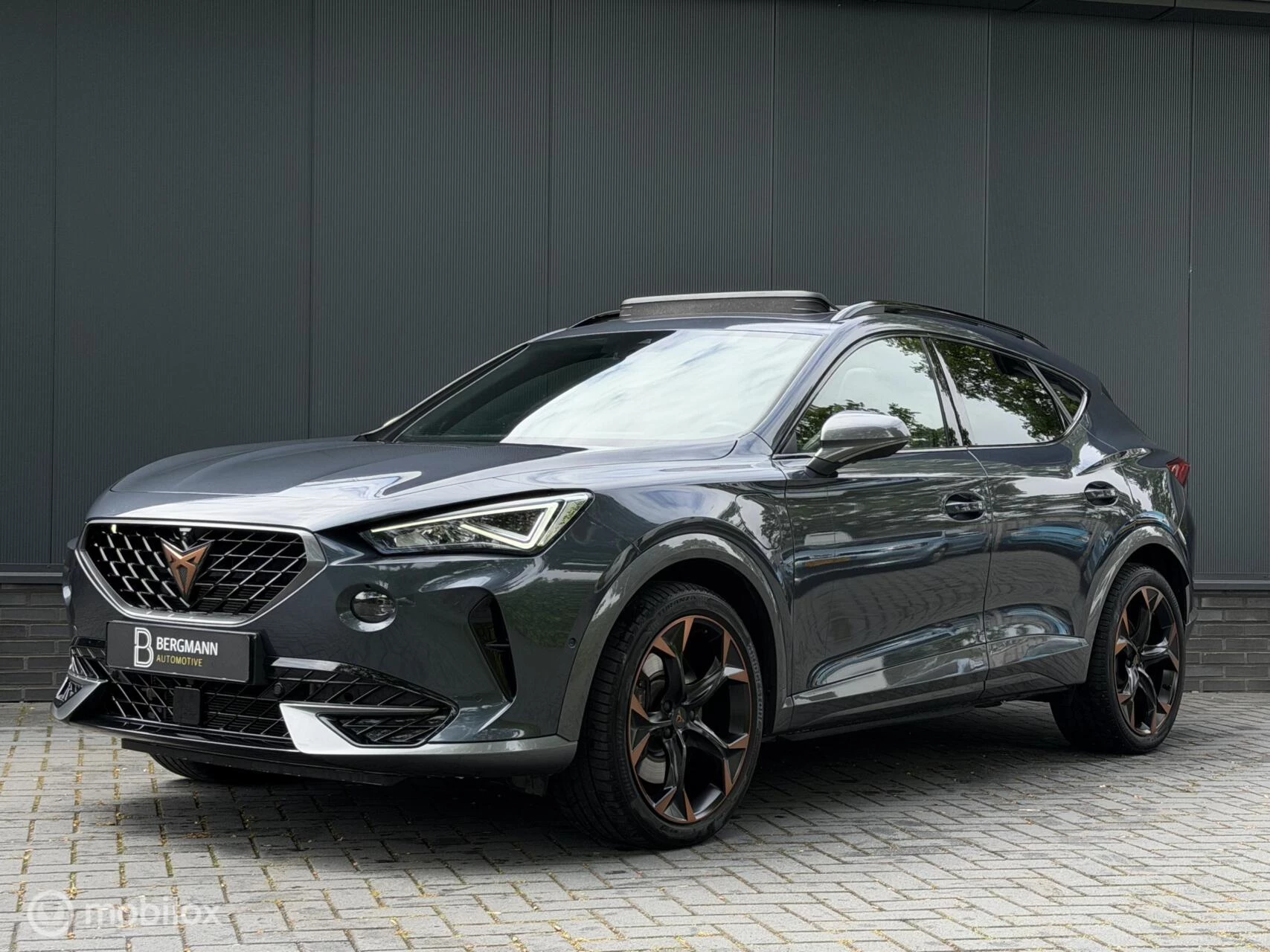 Hoofdafbeelding CUPRA Formentor