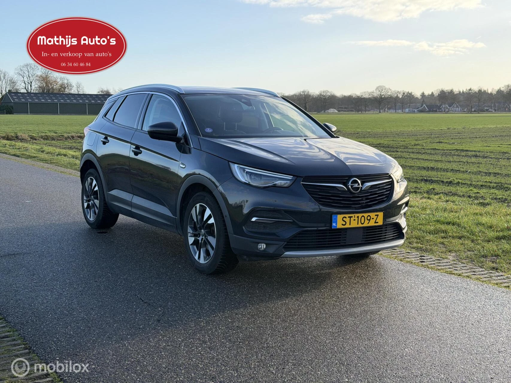 Hoofdafbeelding Opel Grandland X