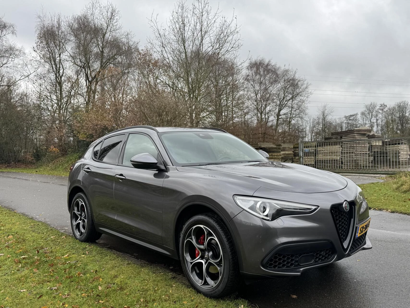Hoofdafbeelding Alfa Romeo Stelvio