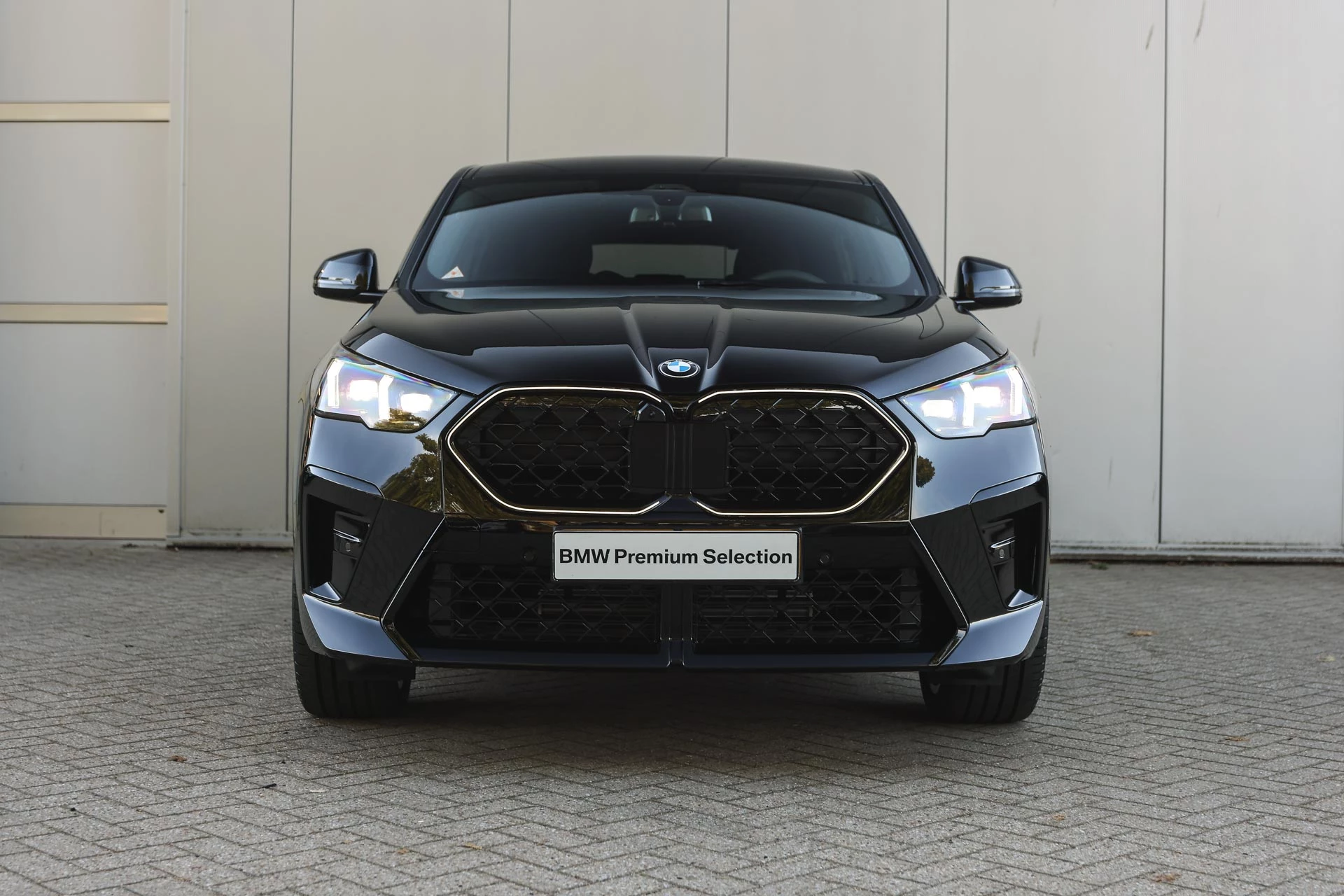 Hoofdafbeelding BMW X2