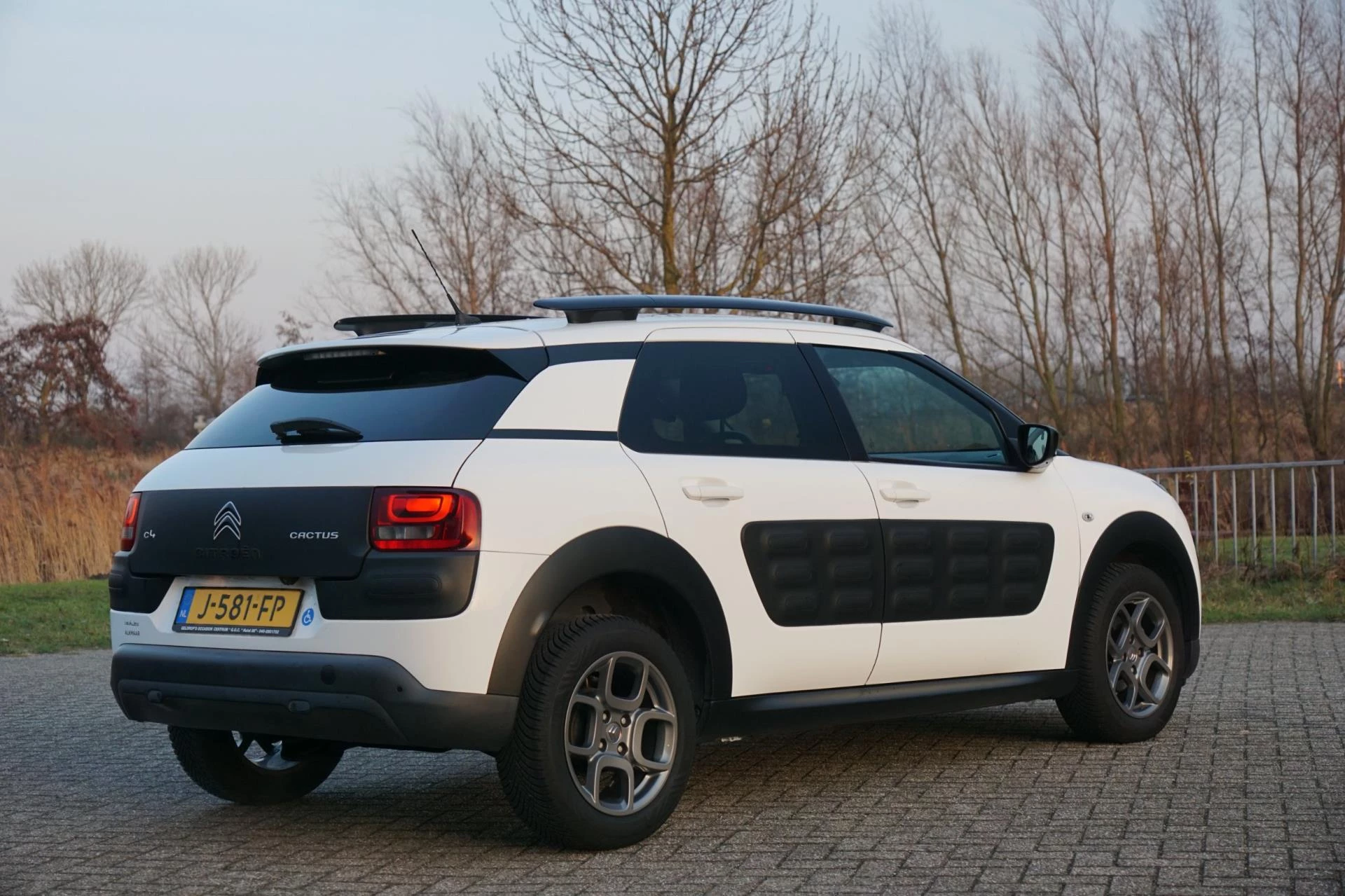 Hoofdafbeelding Citroën C4 Cactus