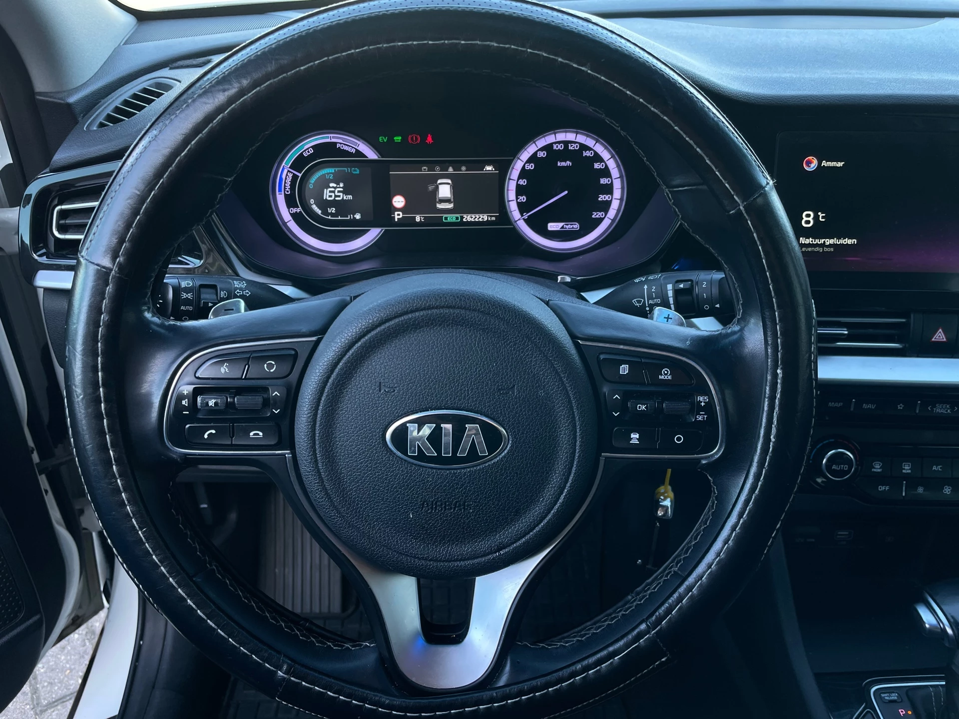 Hoofdafbeelding Kia Niro