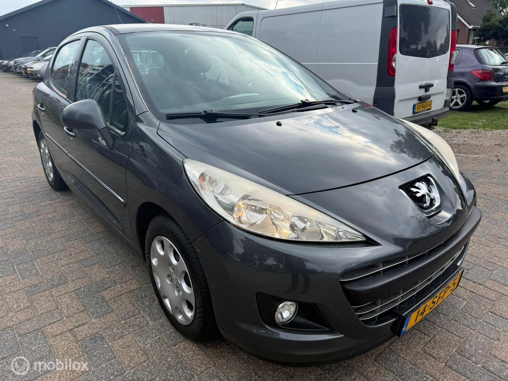 Hoofdafbeelding Peugeot 207