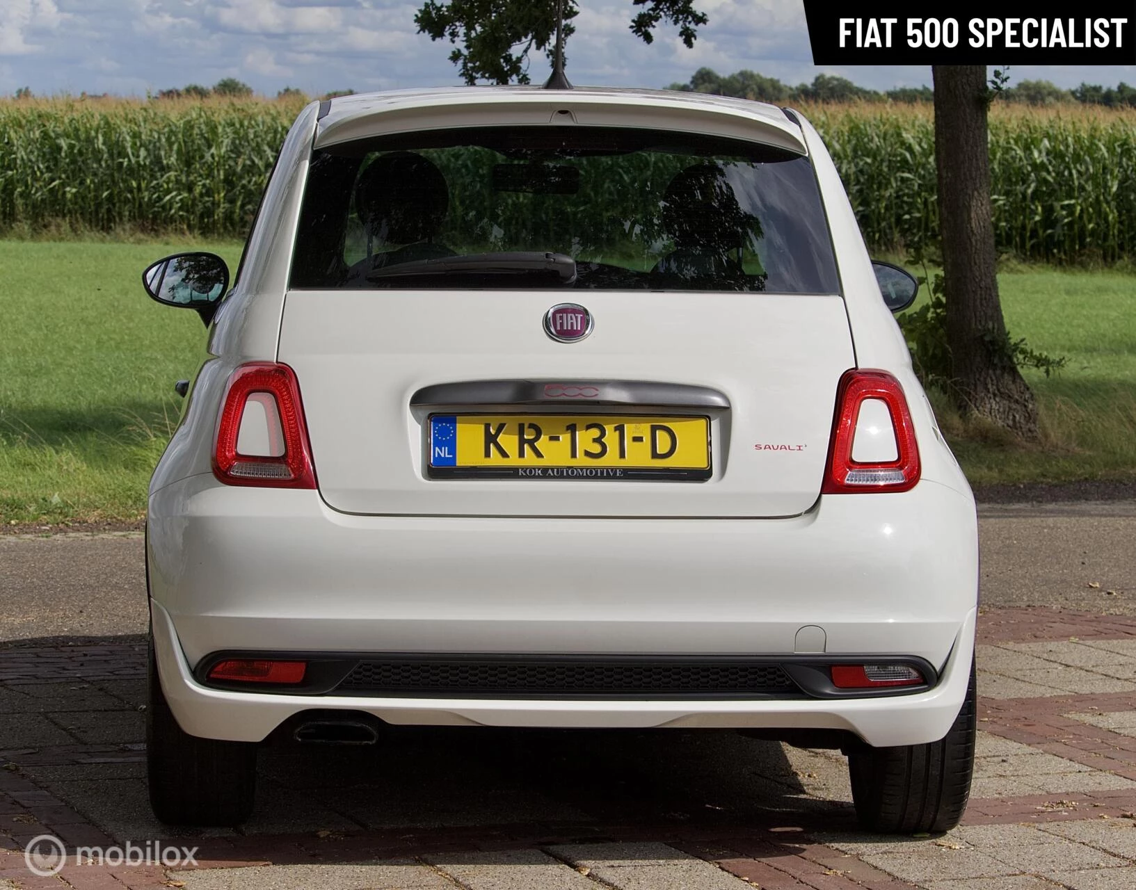 Hoofdafbeelding Fiat 500