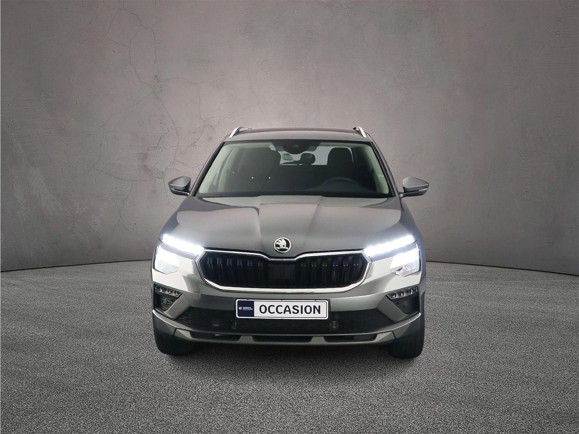 Hoofdafbeelding Škoda Kamiq
