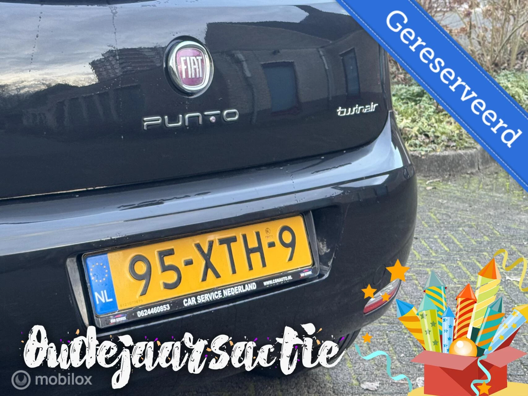 Hoofdafbeelding Fiat Punto