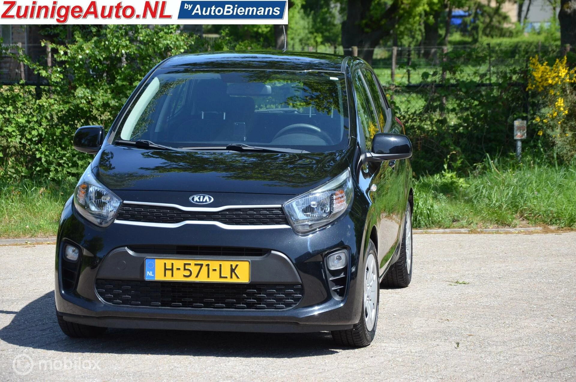 Hoofdafbeelding Kia Picanto