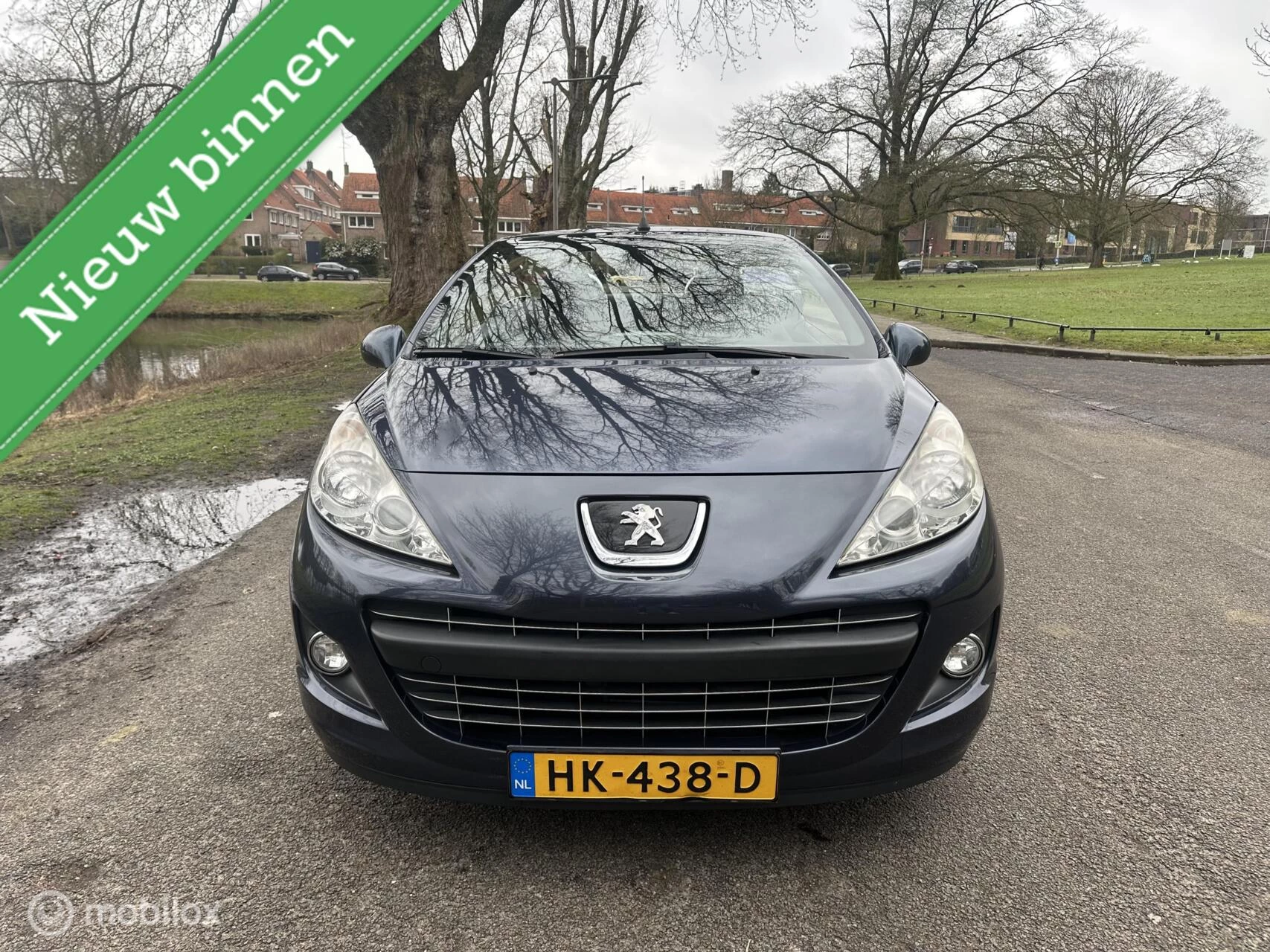 Hoofdafbeelding Peugeot 207