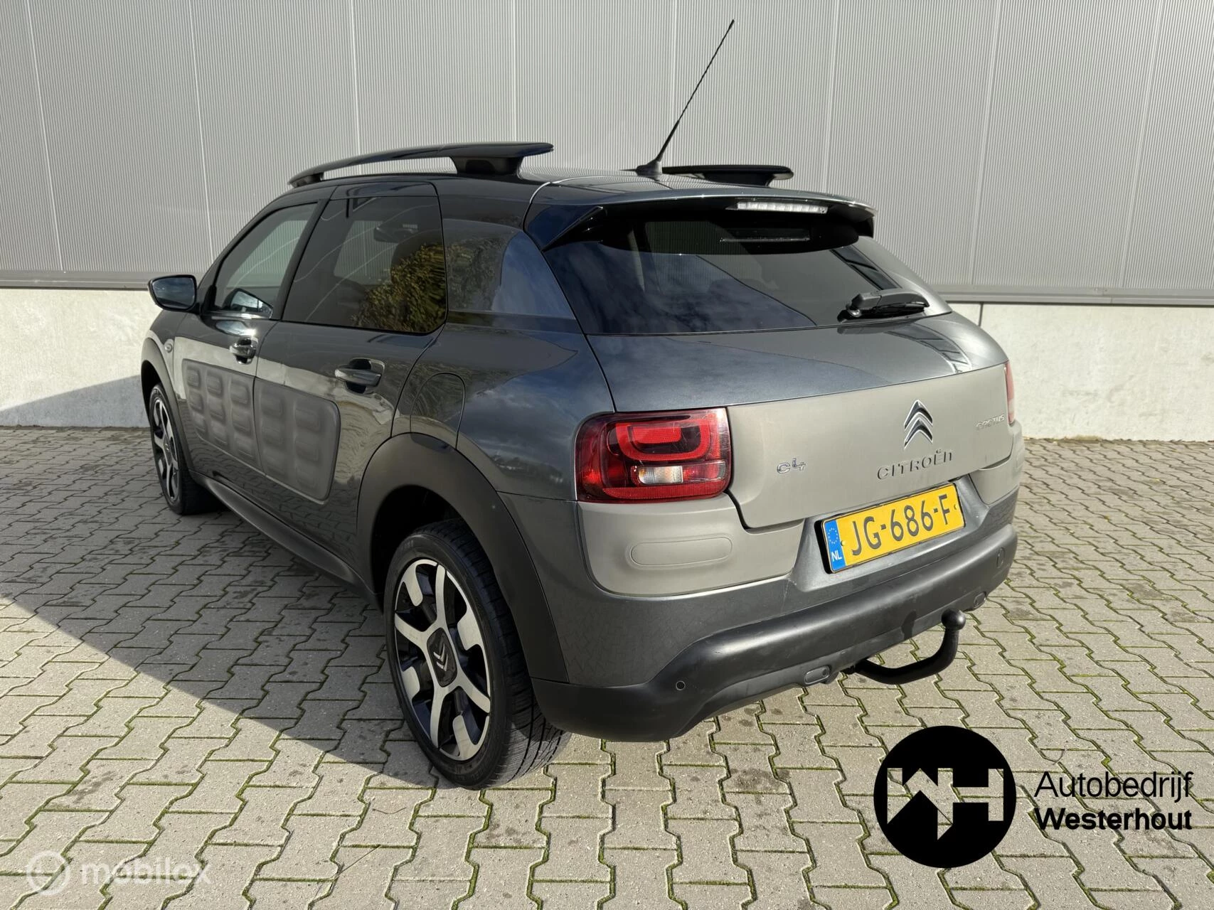 Hoofdafbeelding Citroën C4 Cactus