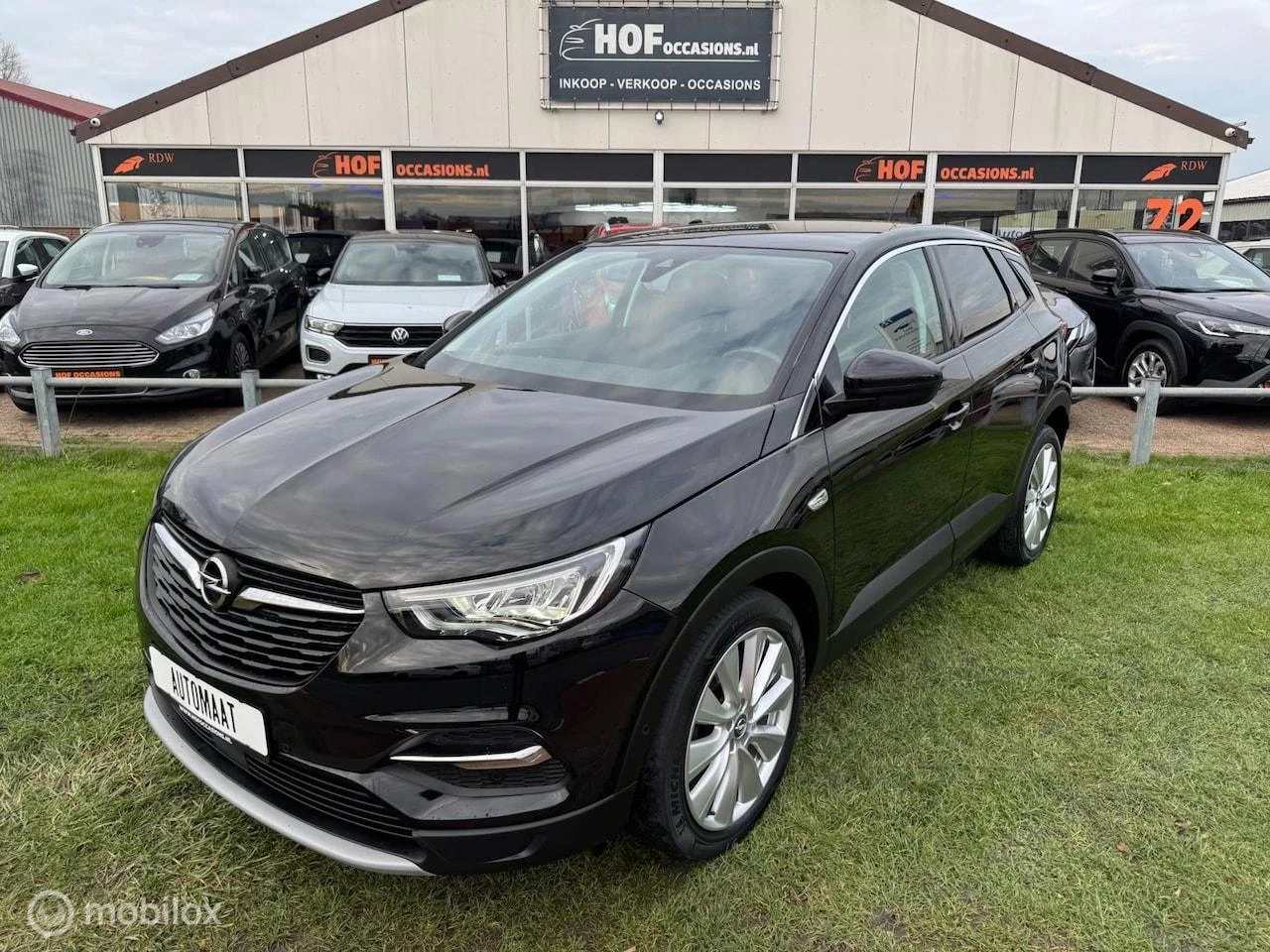 Hoofdafbeelding Opel Grandland X