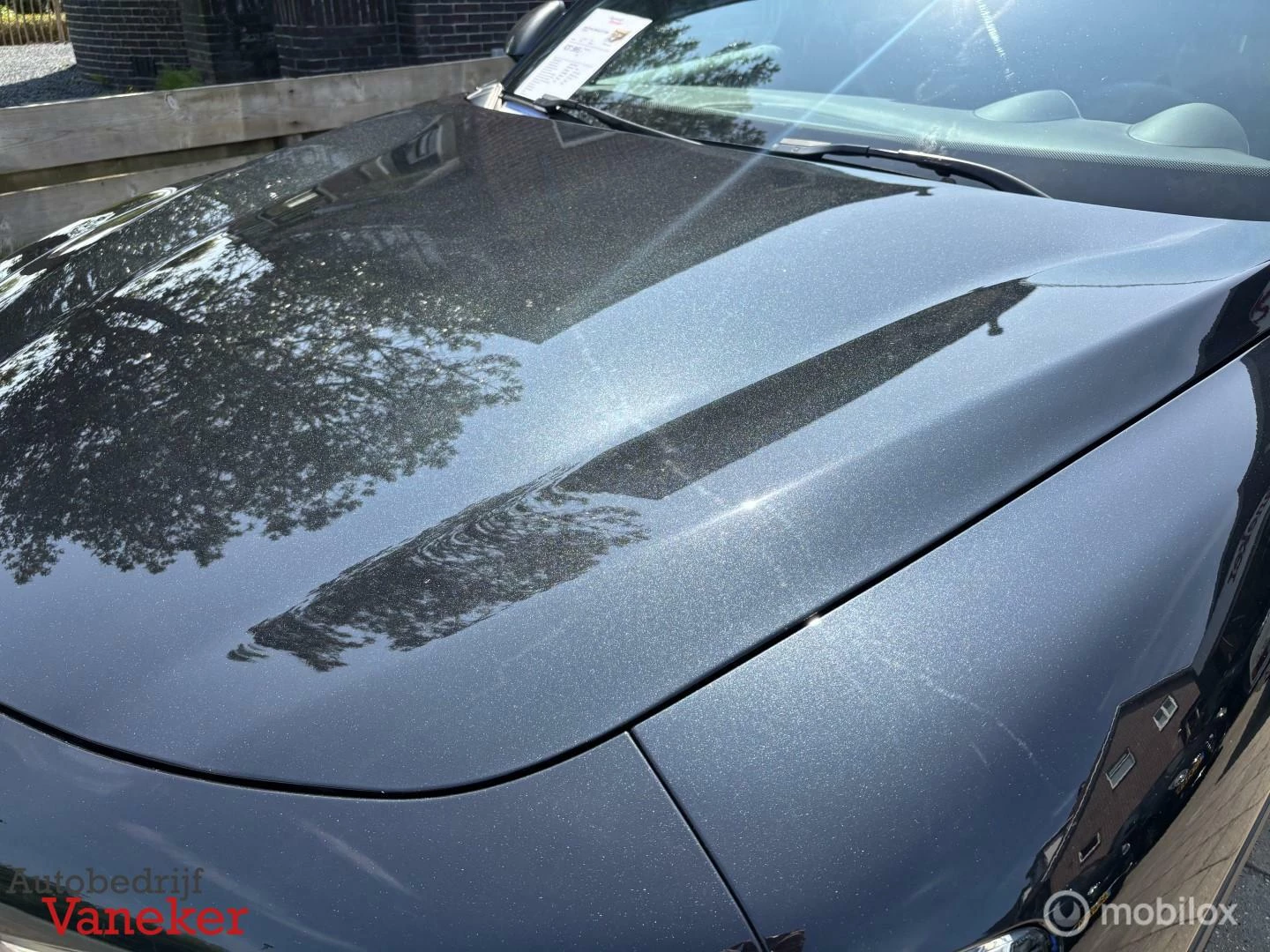 Hoofdafbeelding Alfa Romeo Stelvio