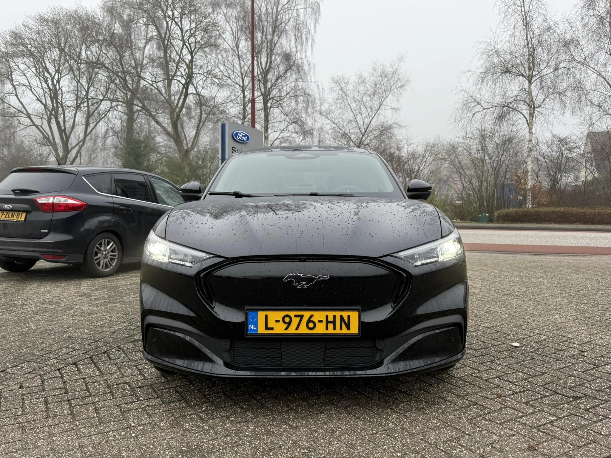 Hoofdafbeelding Ford Mustang Mach-E