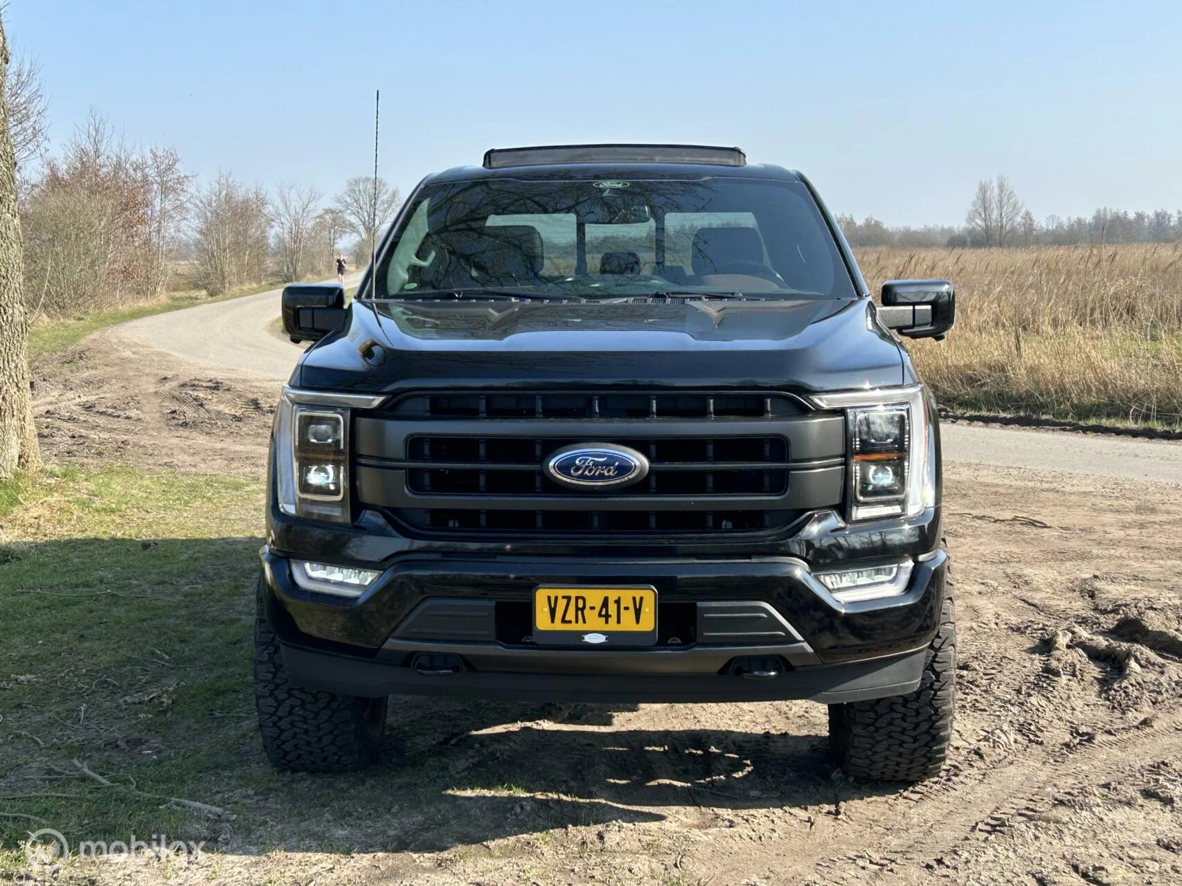 Hoofdafbeelding Ford F-150
