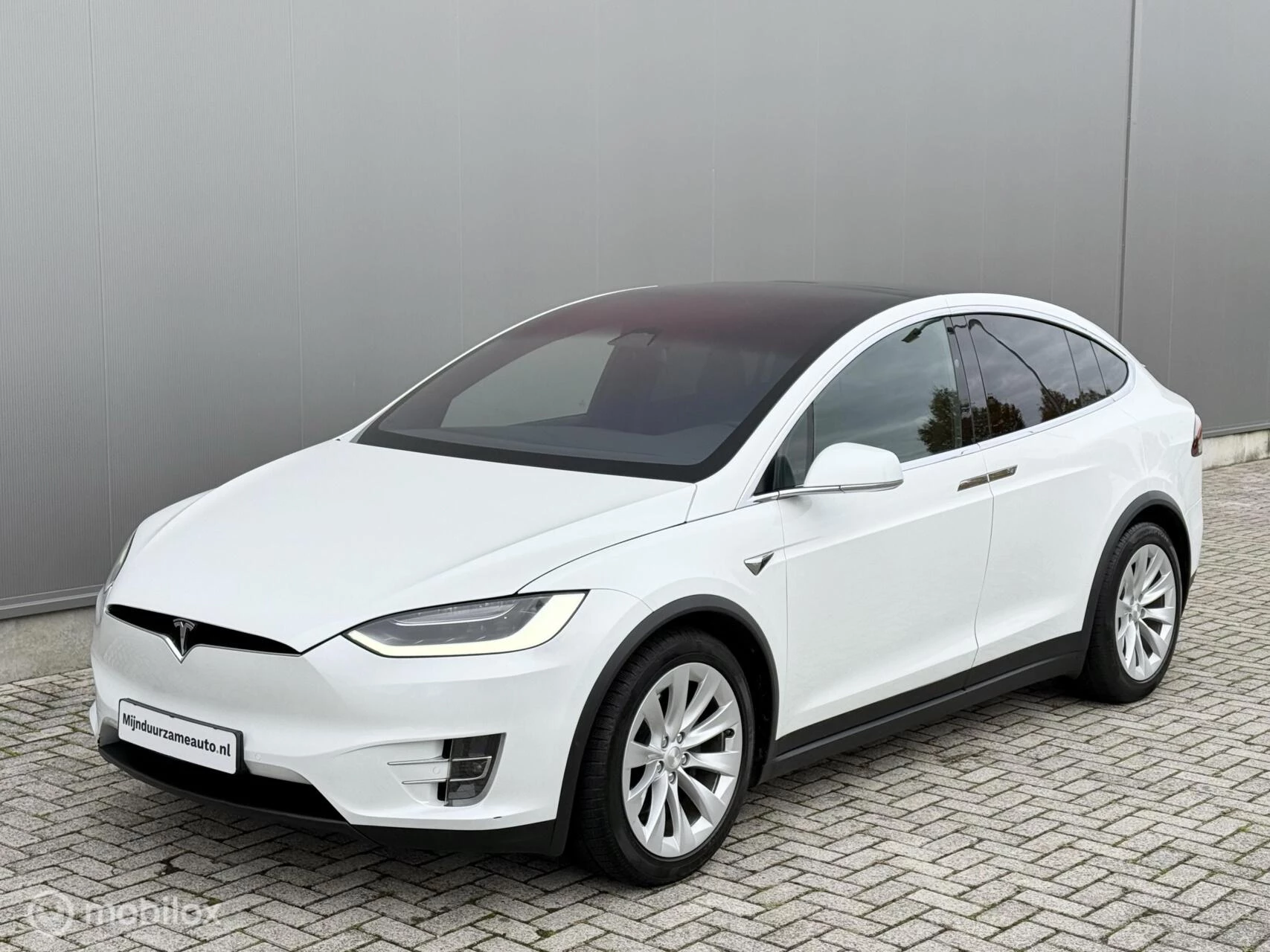 Hoofdafbeelding Tesla Model X