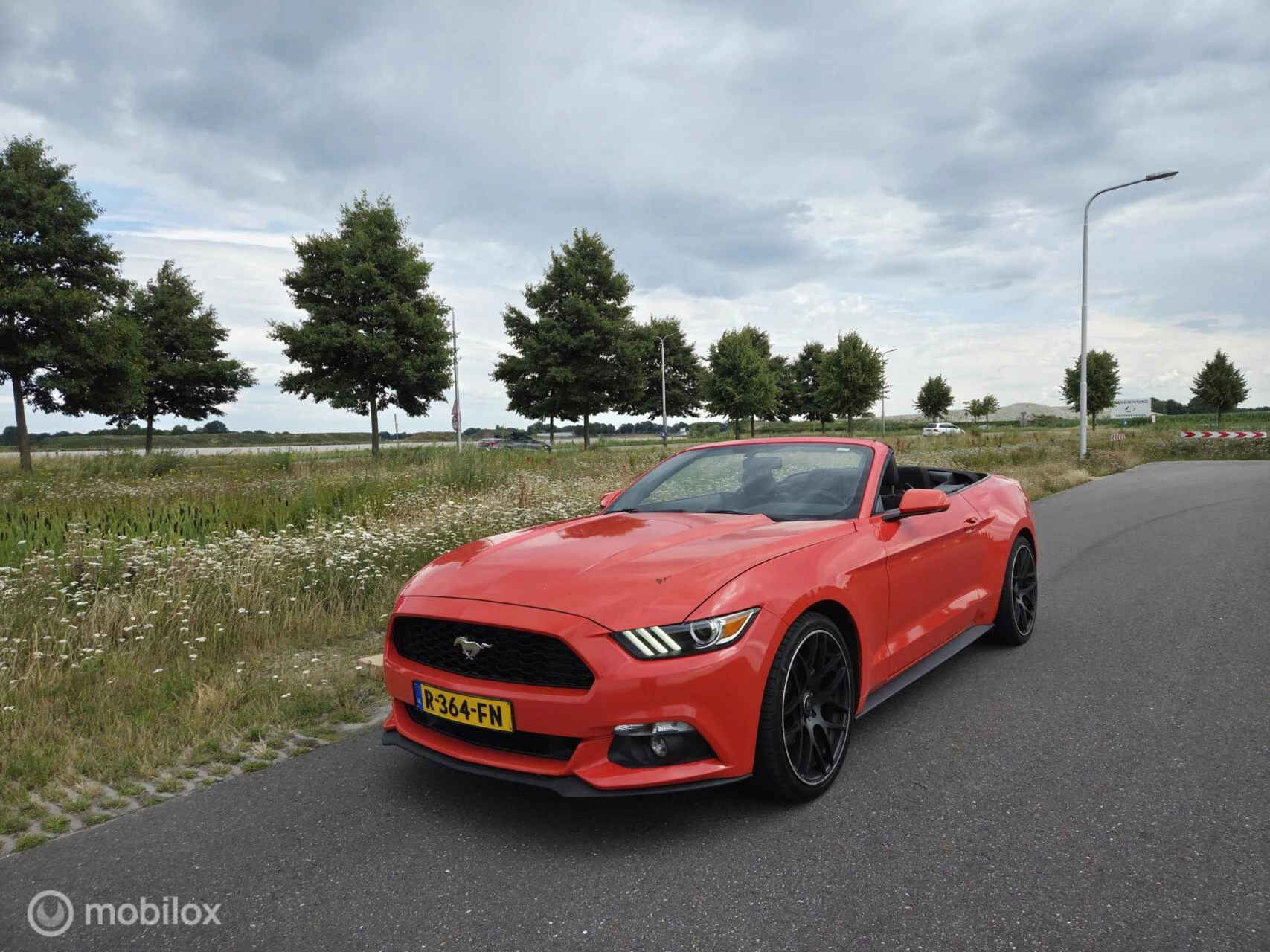 Hoofdafbeelding Ford Mustang