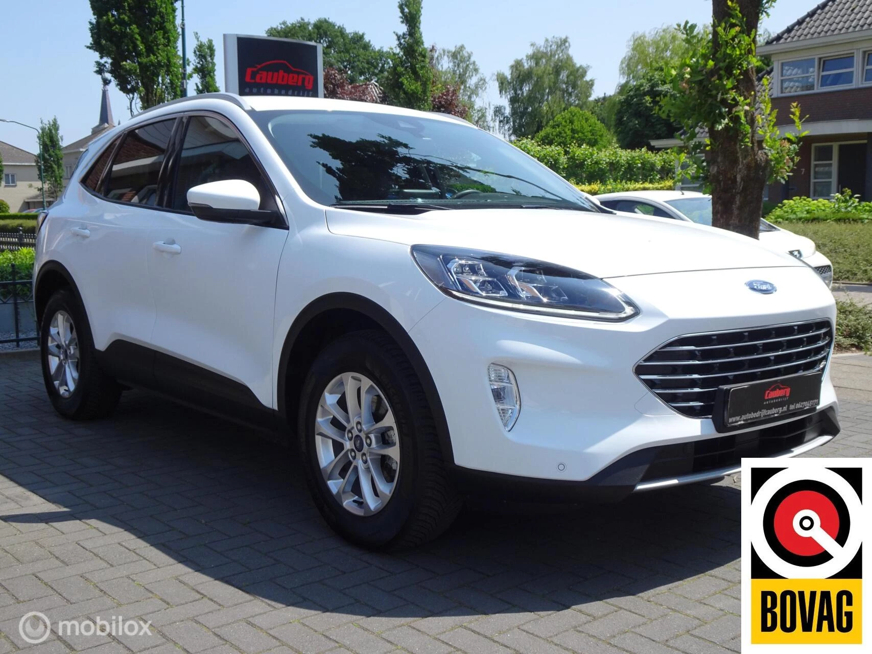 Hoofdafbeelding Ford Kuga