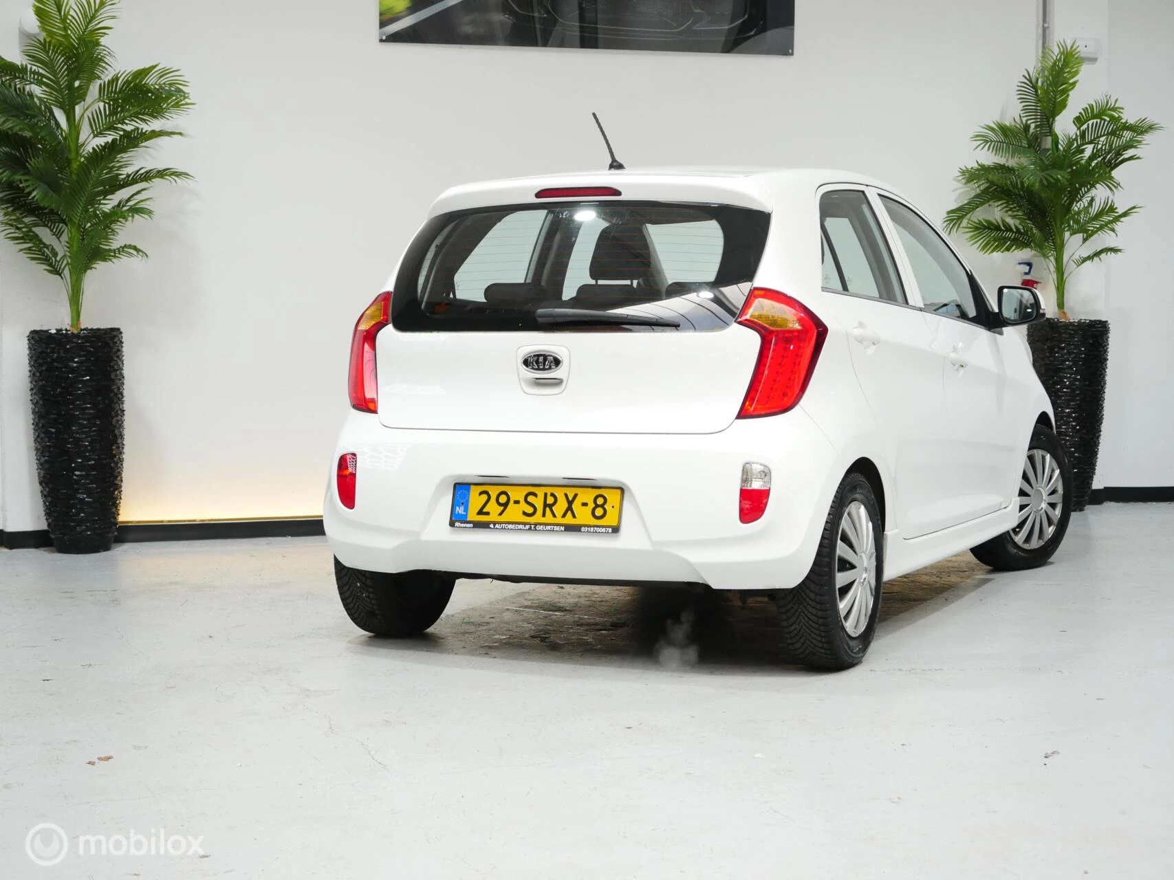 Hoofdafbeelding Kia Picanto