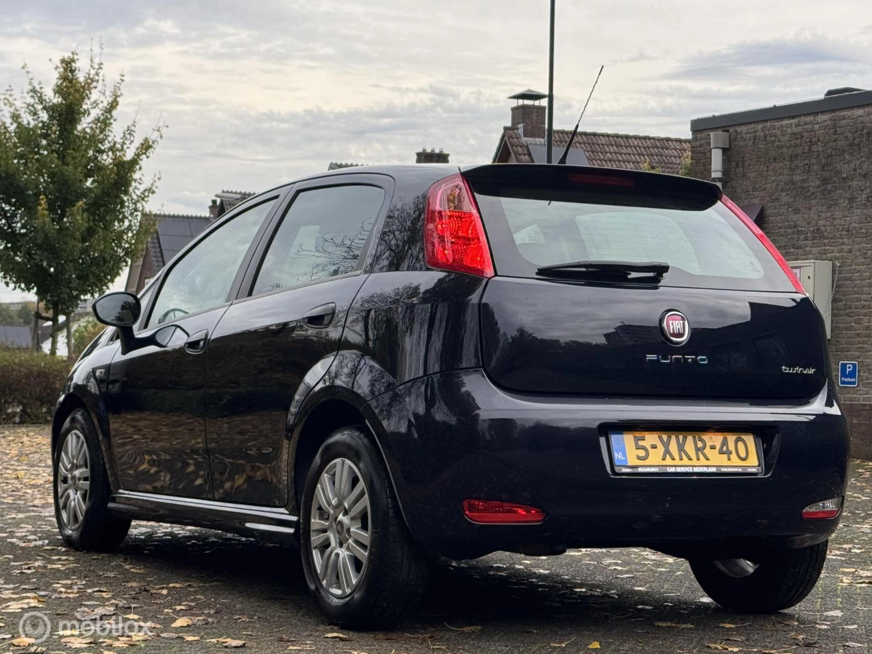 Hoofdafbeelding Fiat Punto