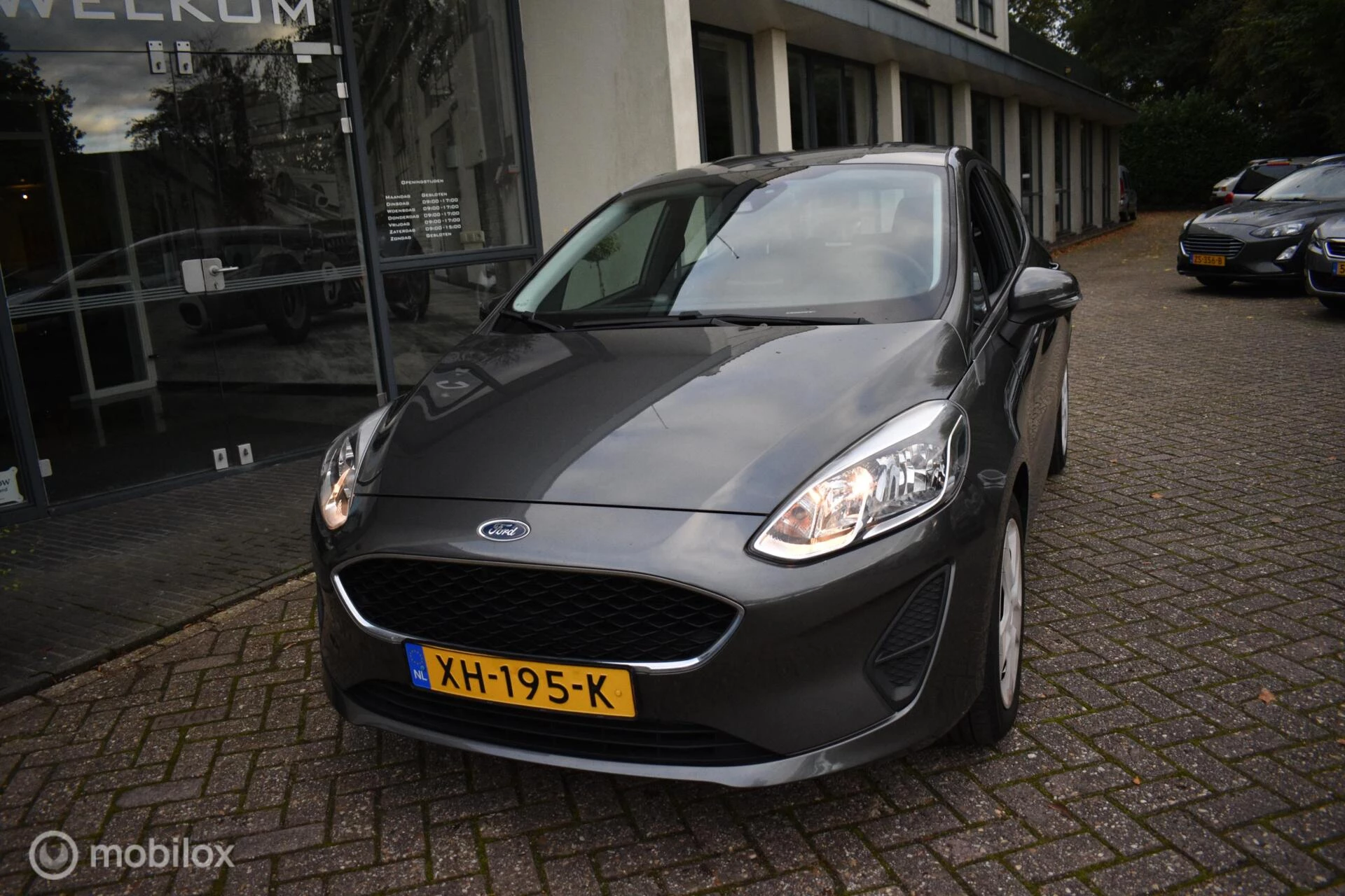 Hoofdafbeelding Ford Fiesta
