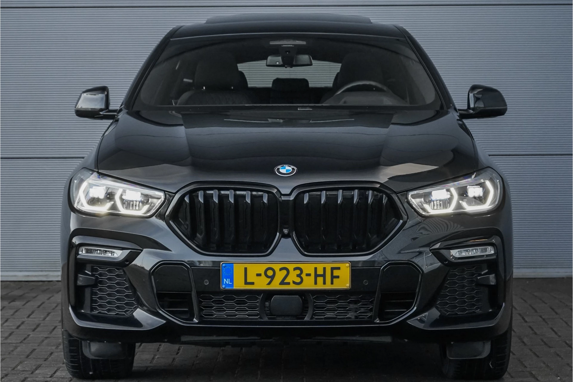 Hoofdafbeelding BMW X6