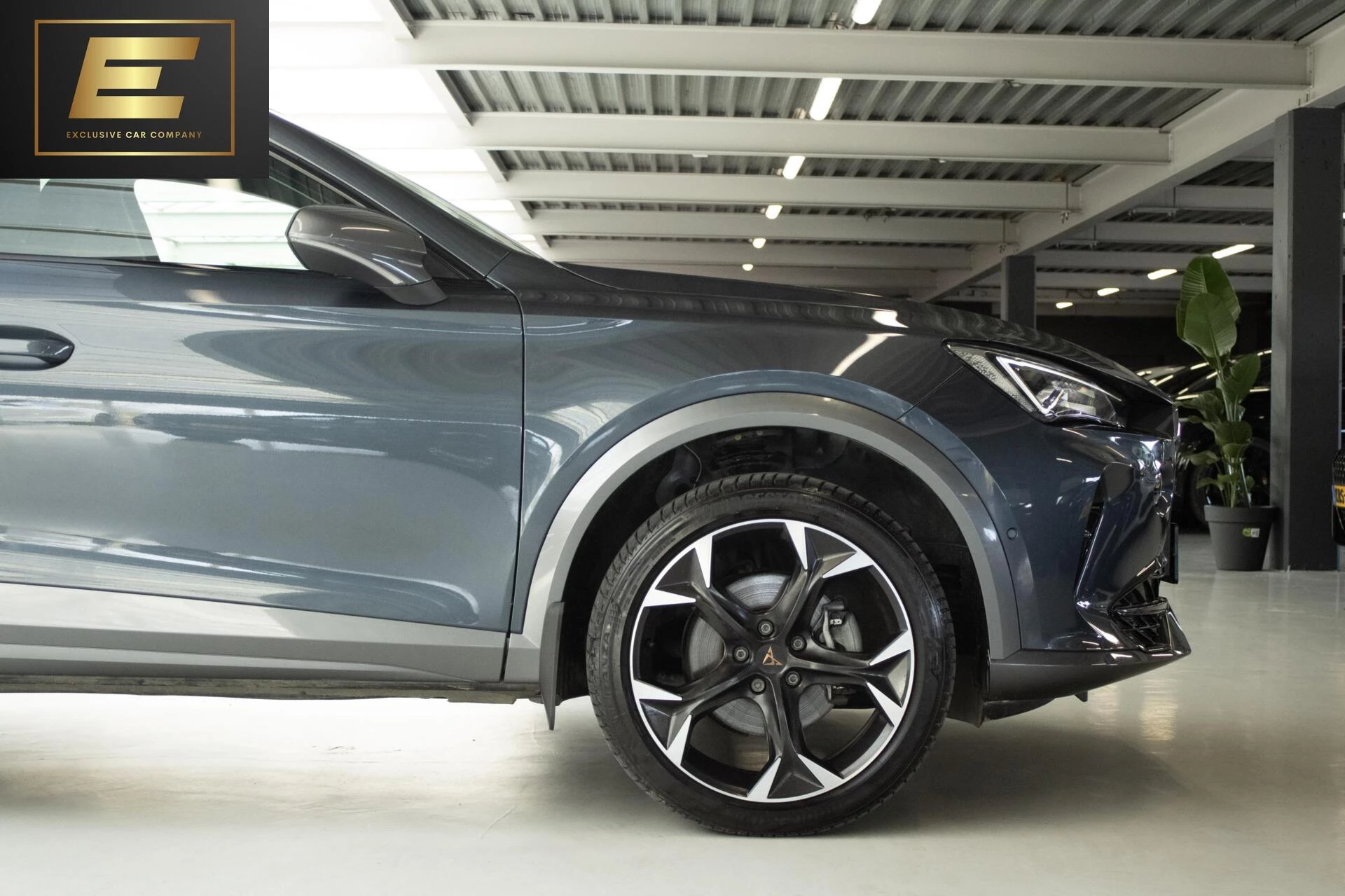 Hoofdafbeelding CUPRA Formentor