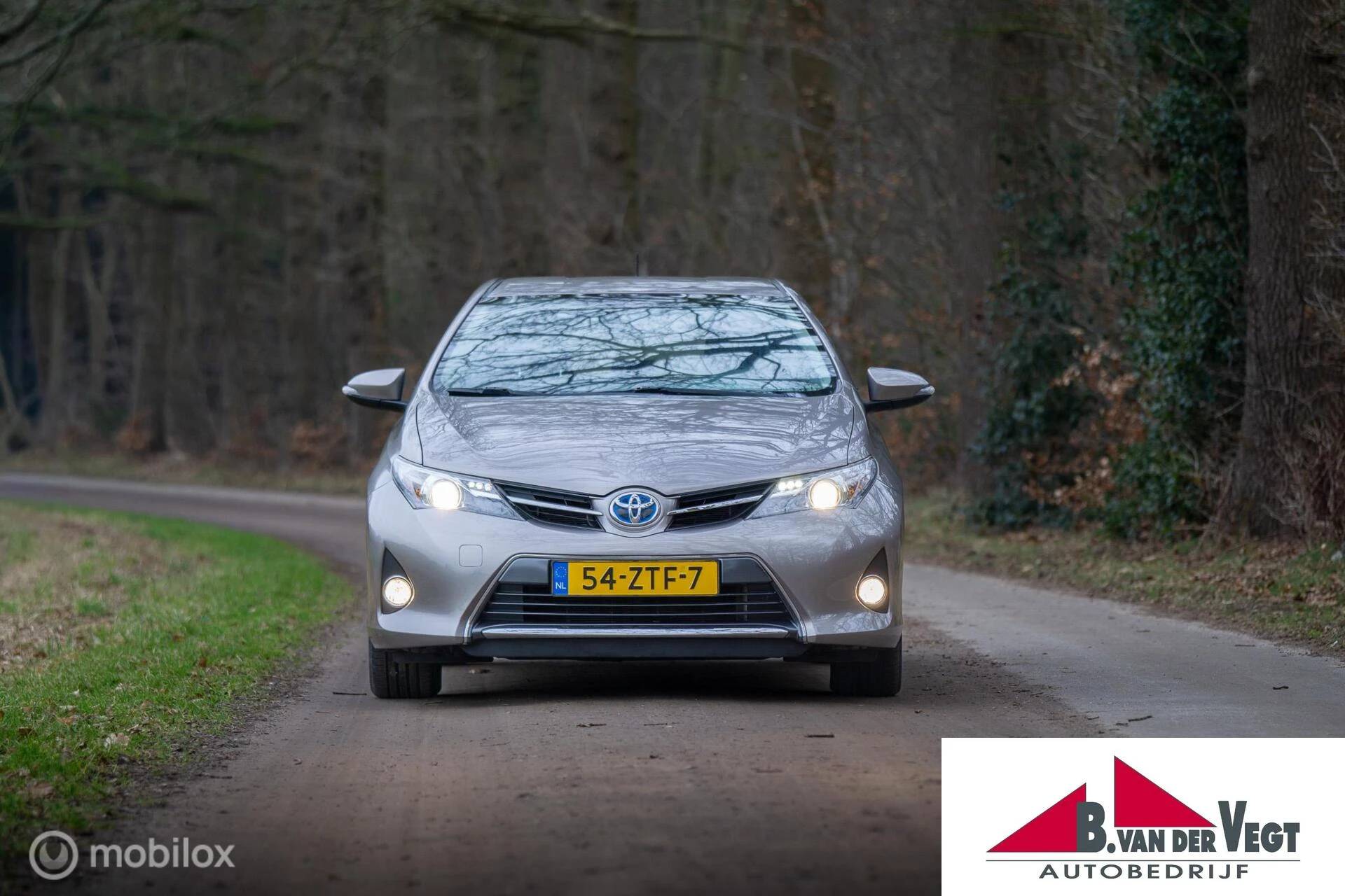 Hoofdafbeelding Toyota Auris