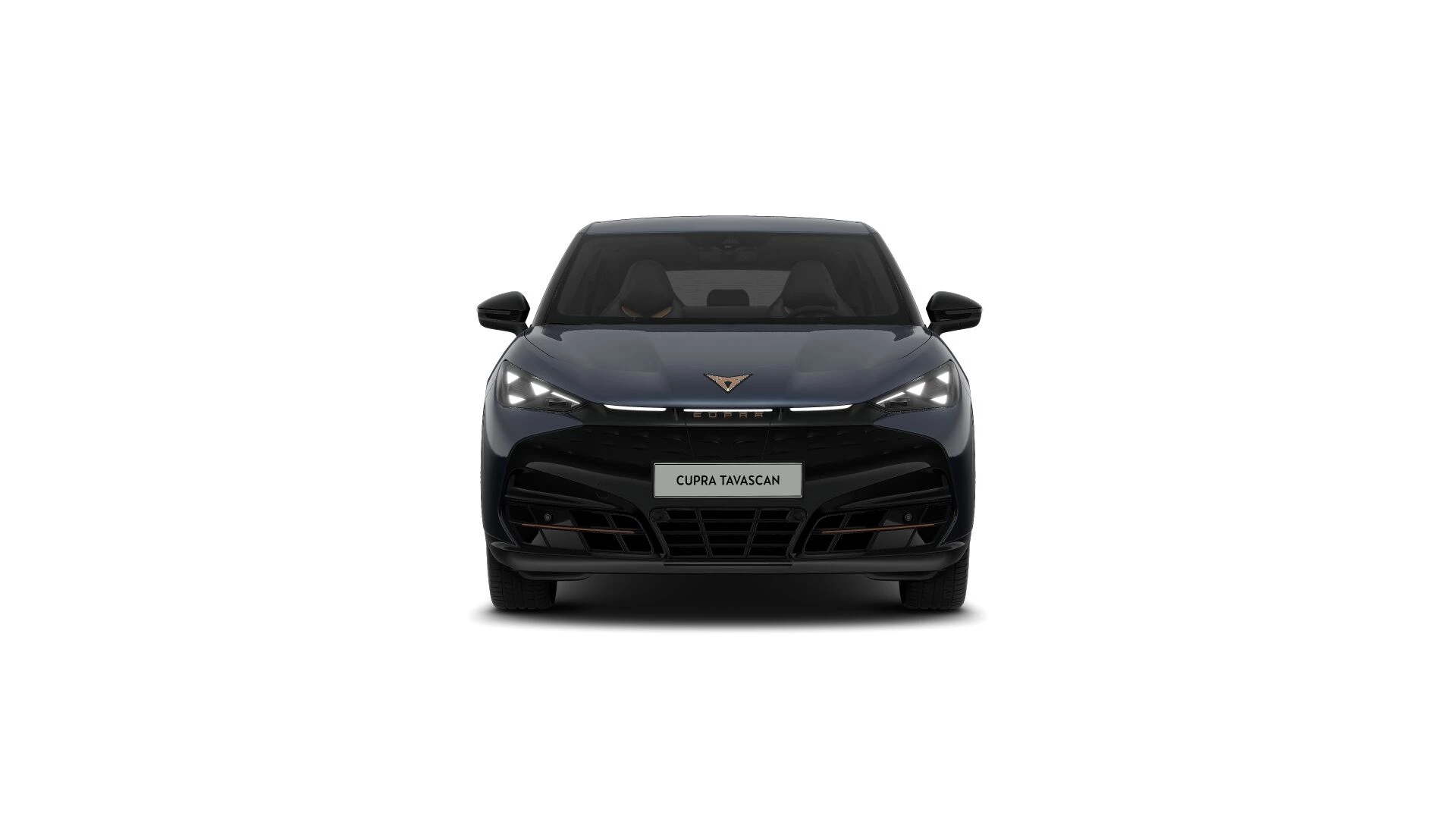 Hoofdafbeelding CUPRA Tavascan