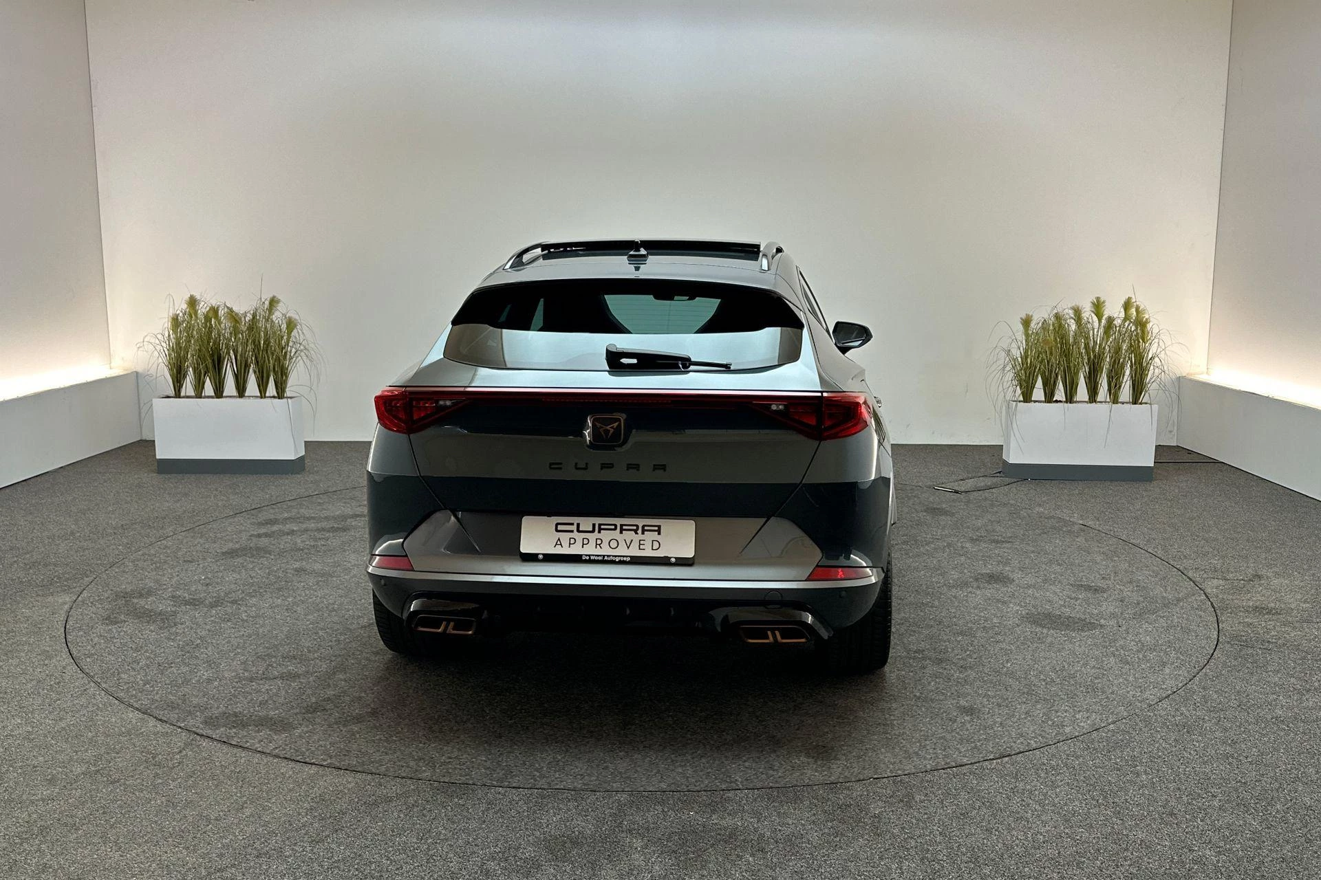 Hoofdafbeelding CUPRA Formentor