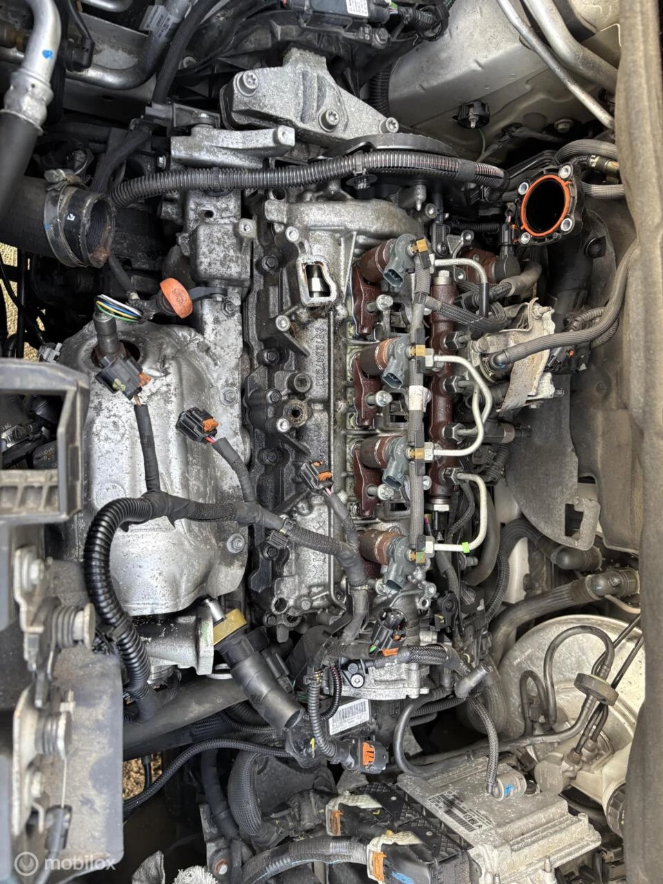 Hoofdafbeelding Opel Combo