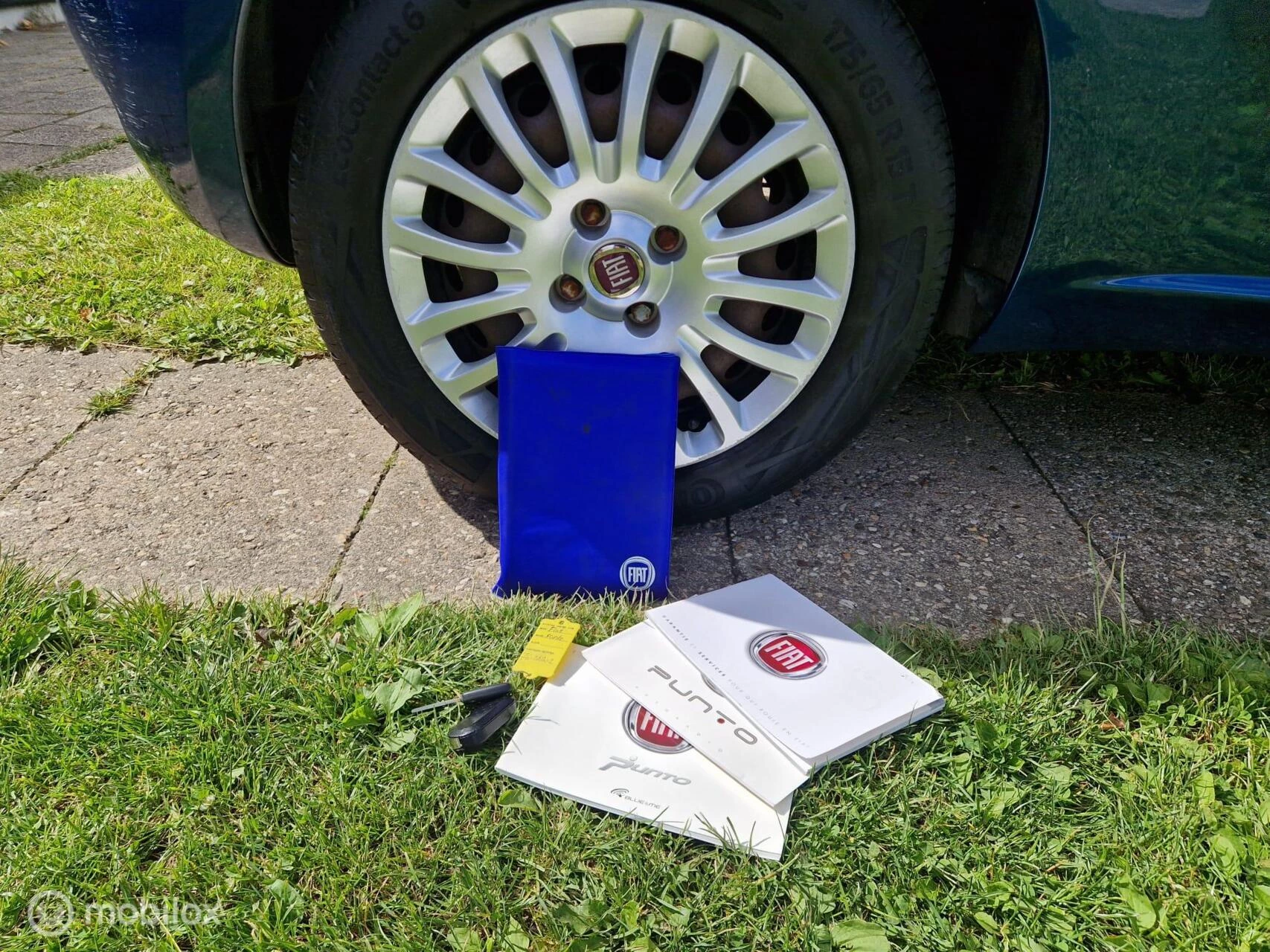 Hoofdafbeelding Fiat Punto