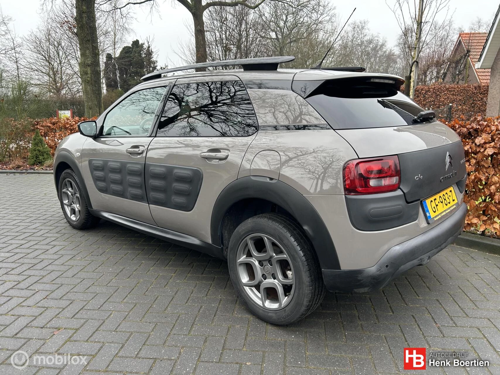 Hoofdafbeelding Citroën C4 Cactus
