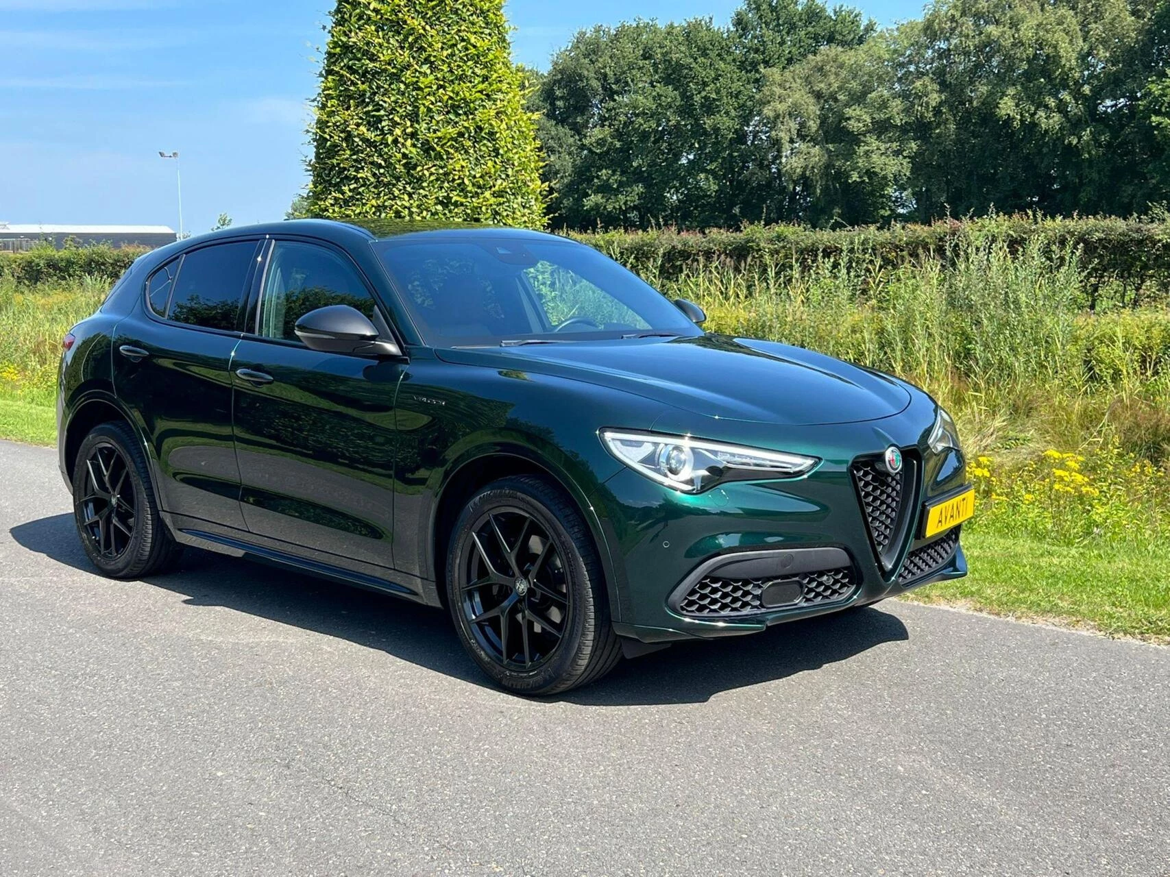 Hoofdafbeelding Alfa Romeo Stelvio