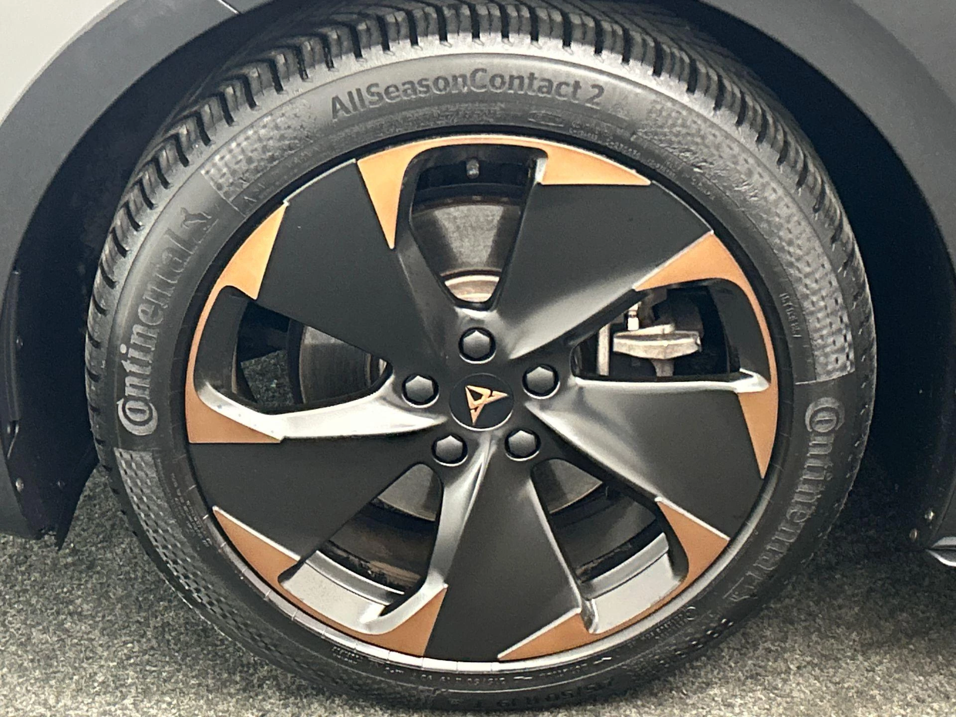 Hoofdafbeelding CUPRA Born