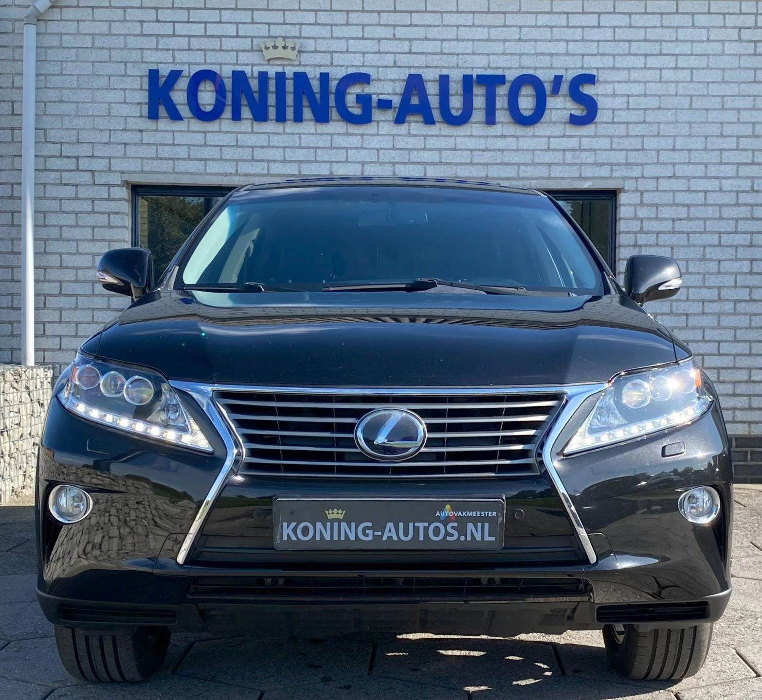 Hoofdafbeelding Lexus RX