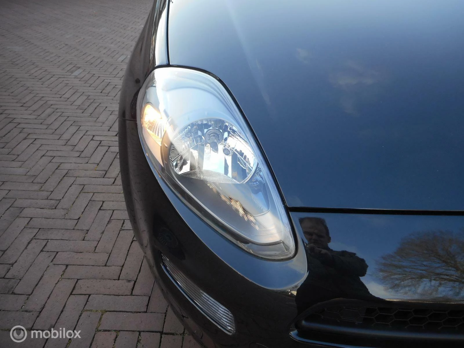 Hoofdafbeelding Fiat Punto