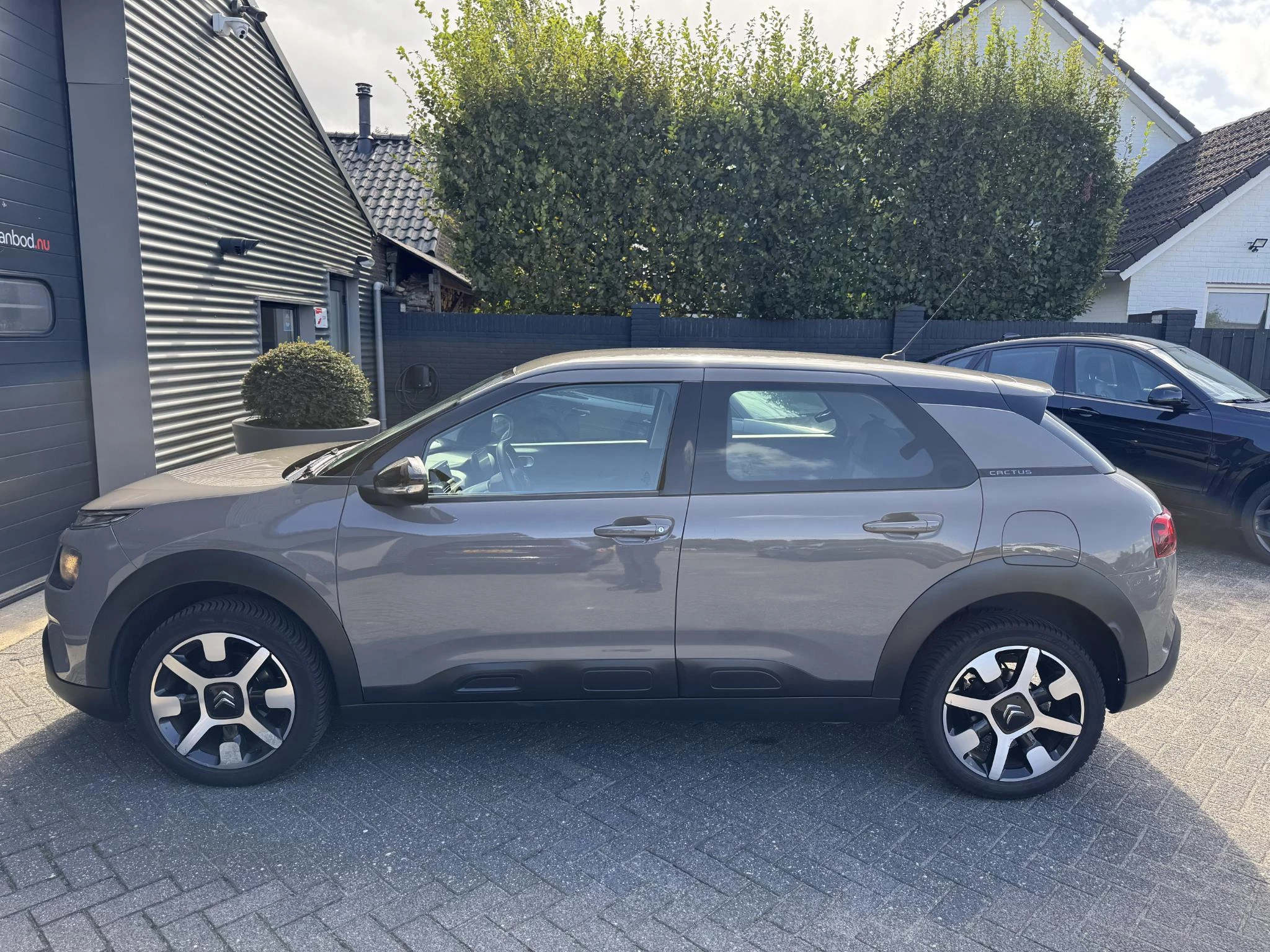 Hoofdafbeelding Citroën C4 Cactus