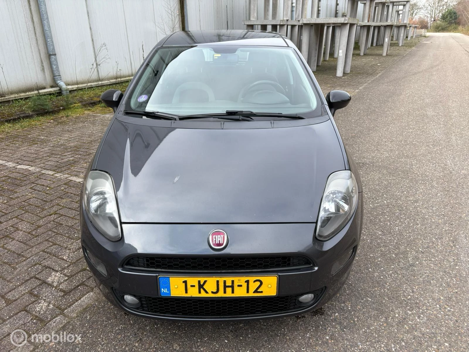 Hoofdafbeelding Fiat Punto