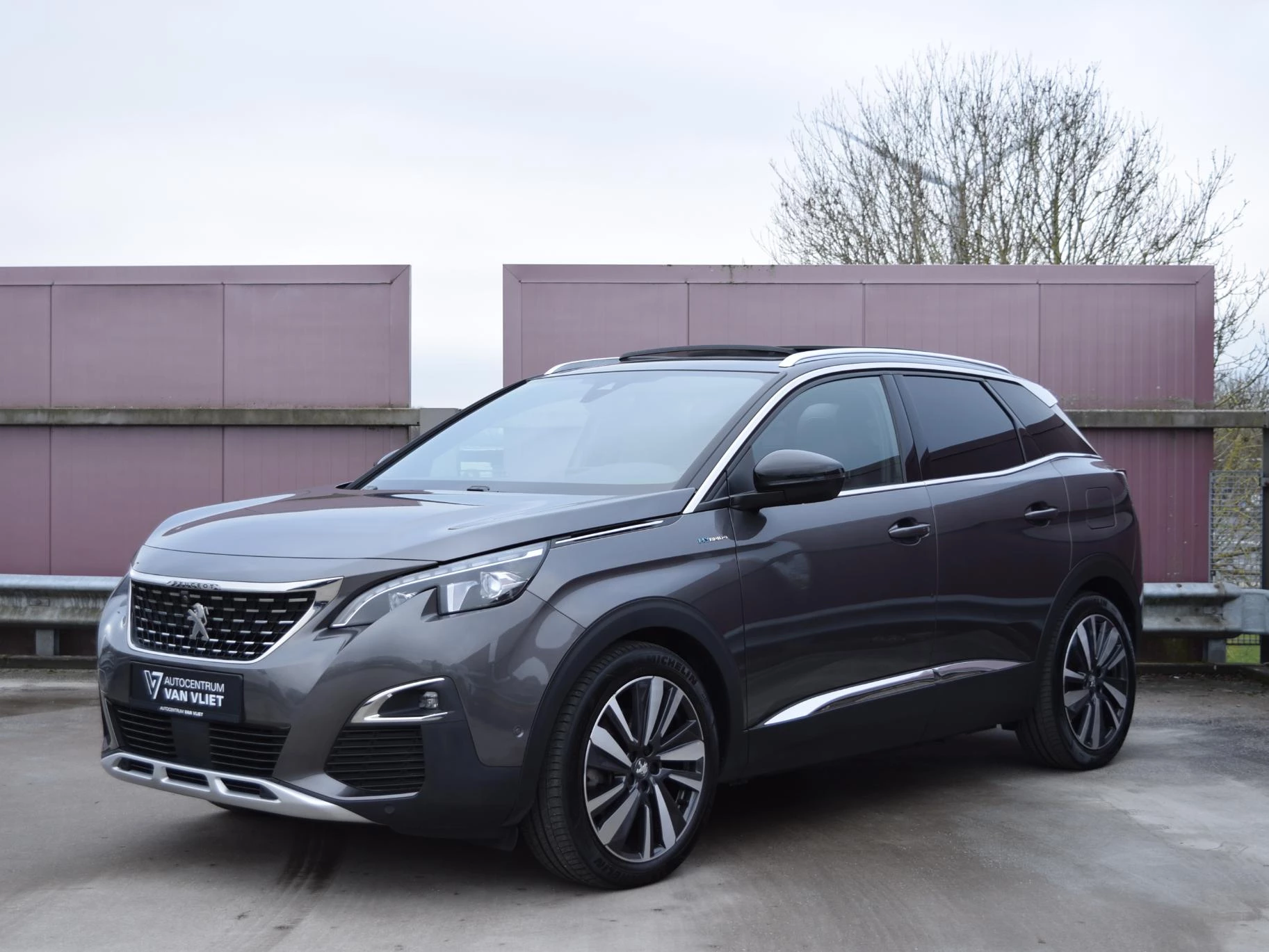Hoofdafbeelding Peugeot 3008