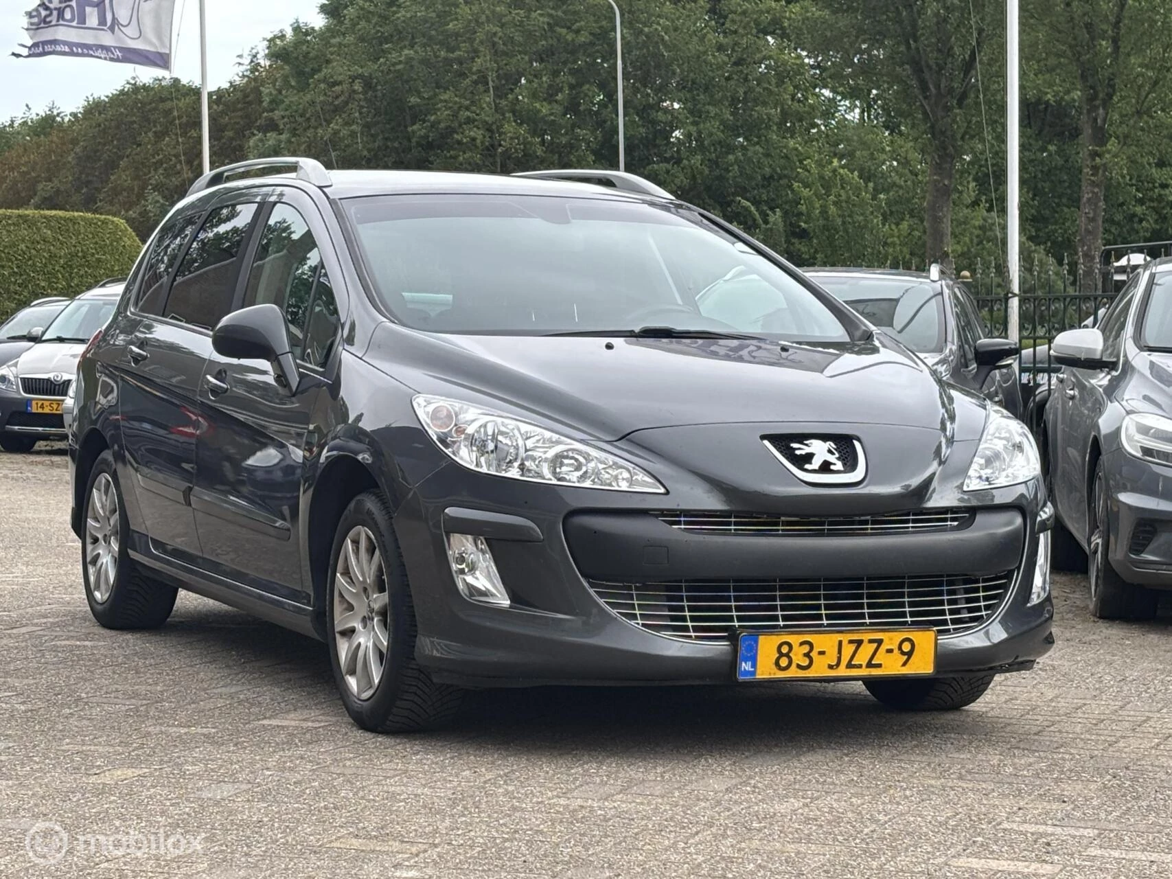 Hoofdafbeelding Peugeot 308