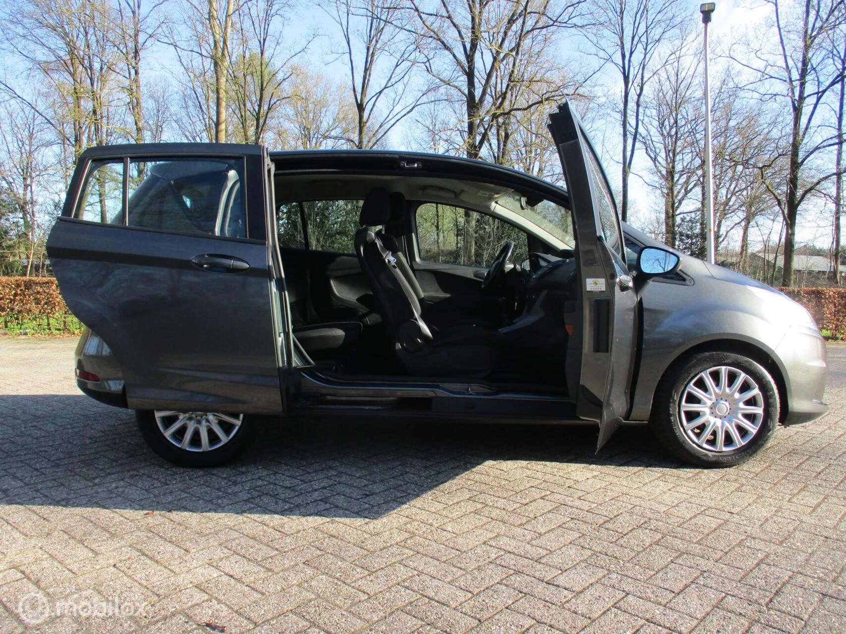 Hoofdafbeelding Ford B-MAX