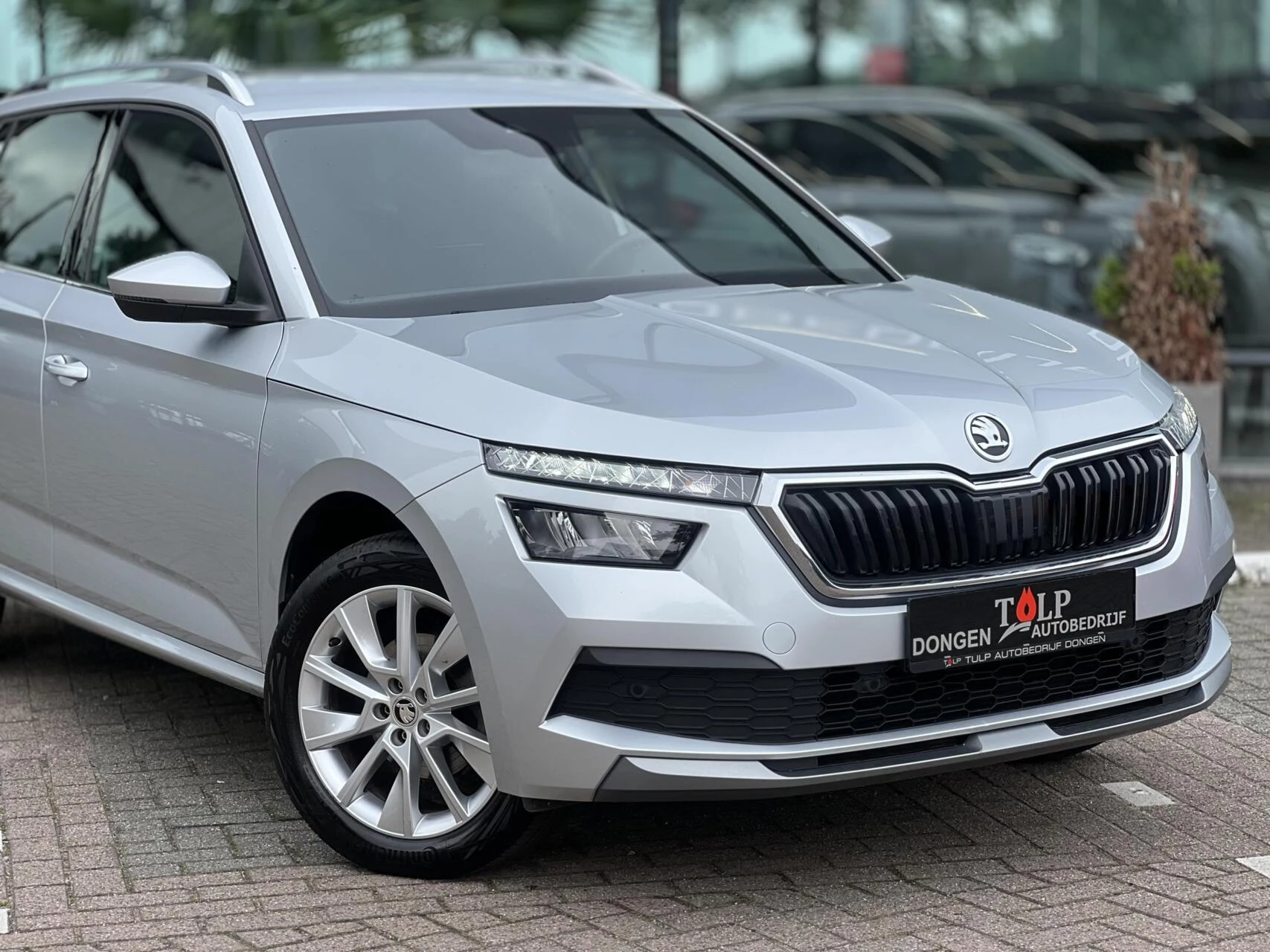 Hoofdafbeelding Škoda Kamiq