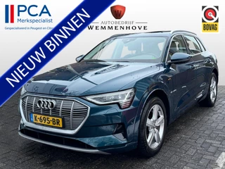 Audi e-tron 55 quattro Business edition Plus 95 kWh