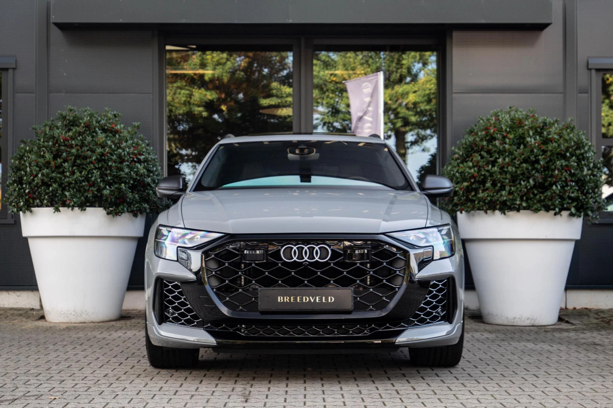 Hoofdafbeelding Audi RSQ8